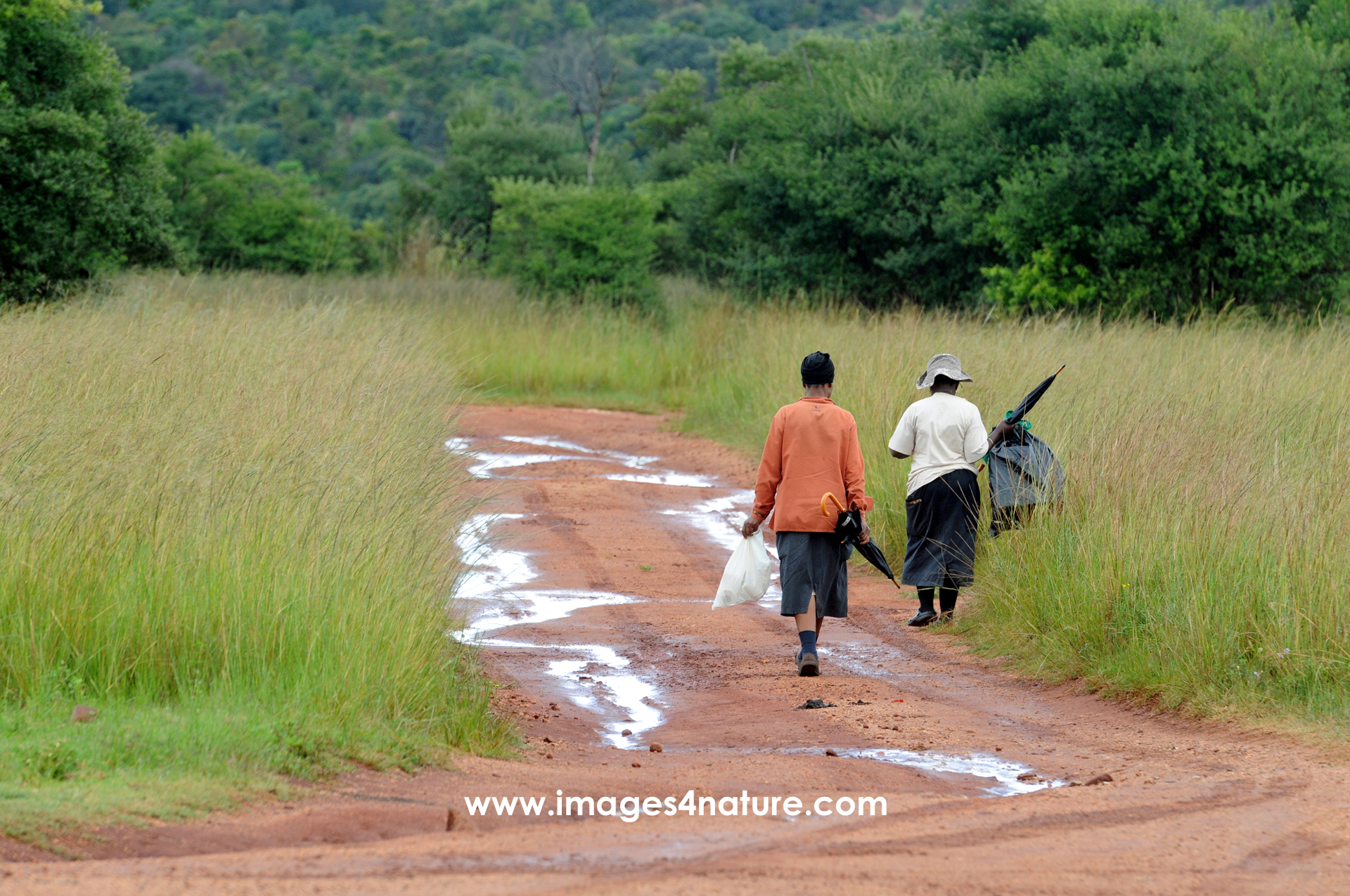 Two people walking home on wet road, after work at tourist resort