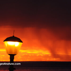 Glowing street light against orange rainshower sky at sunset
