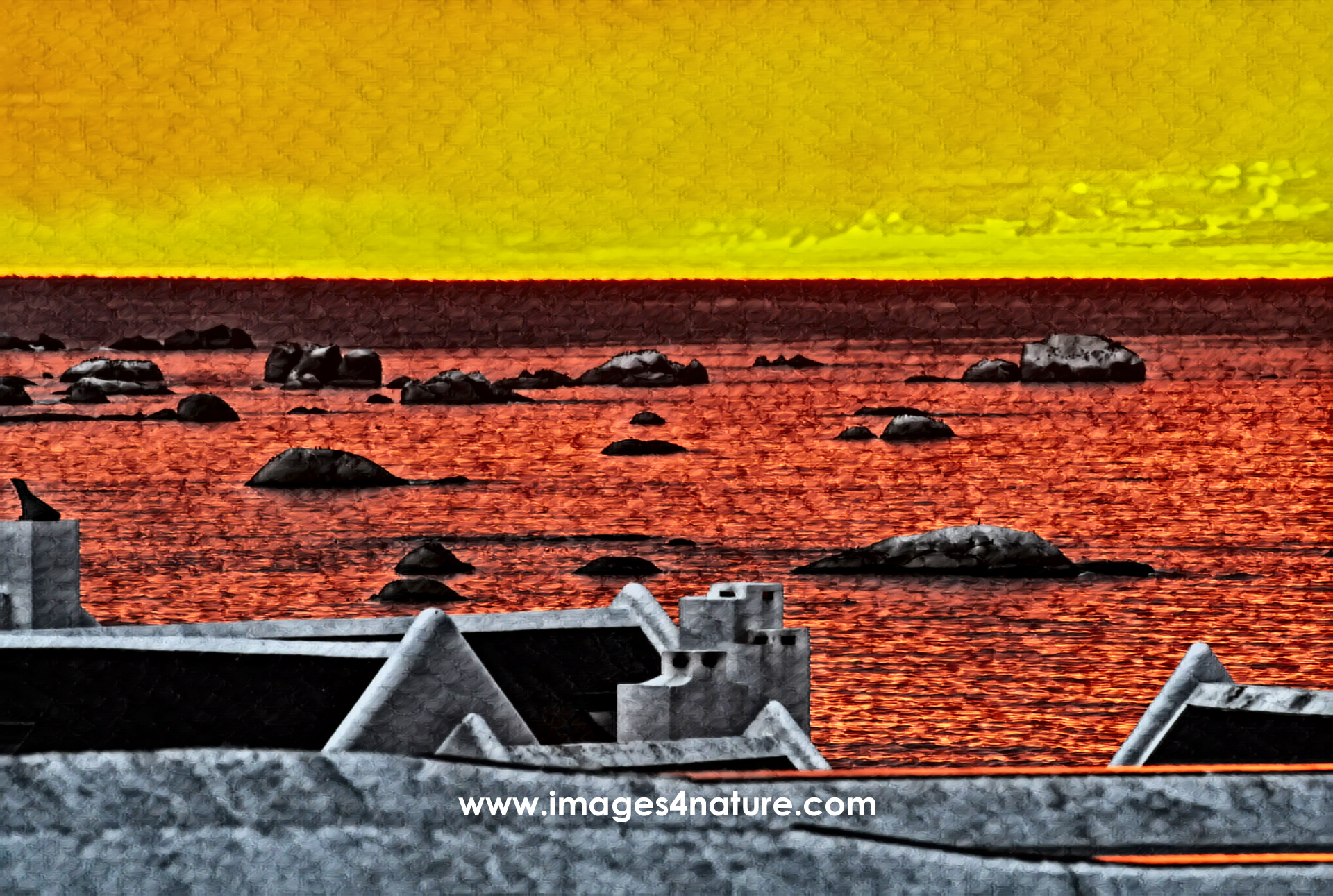 Scenic view of Atlantic ocean at sunset over Cape-Dutch rooftops