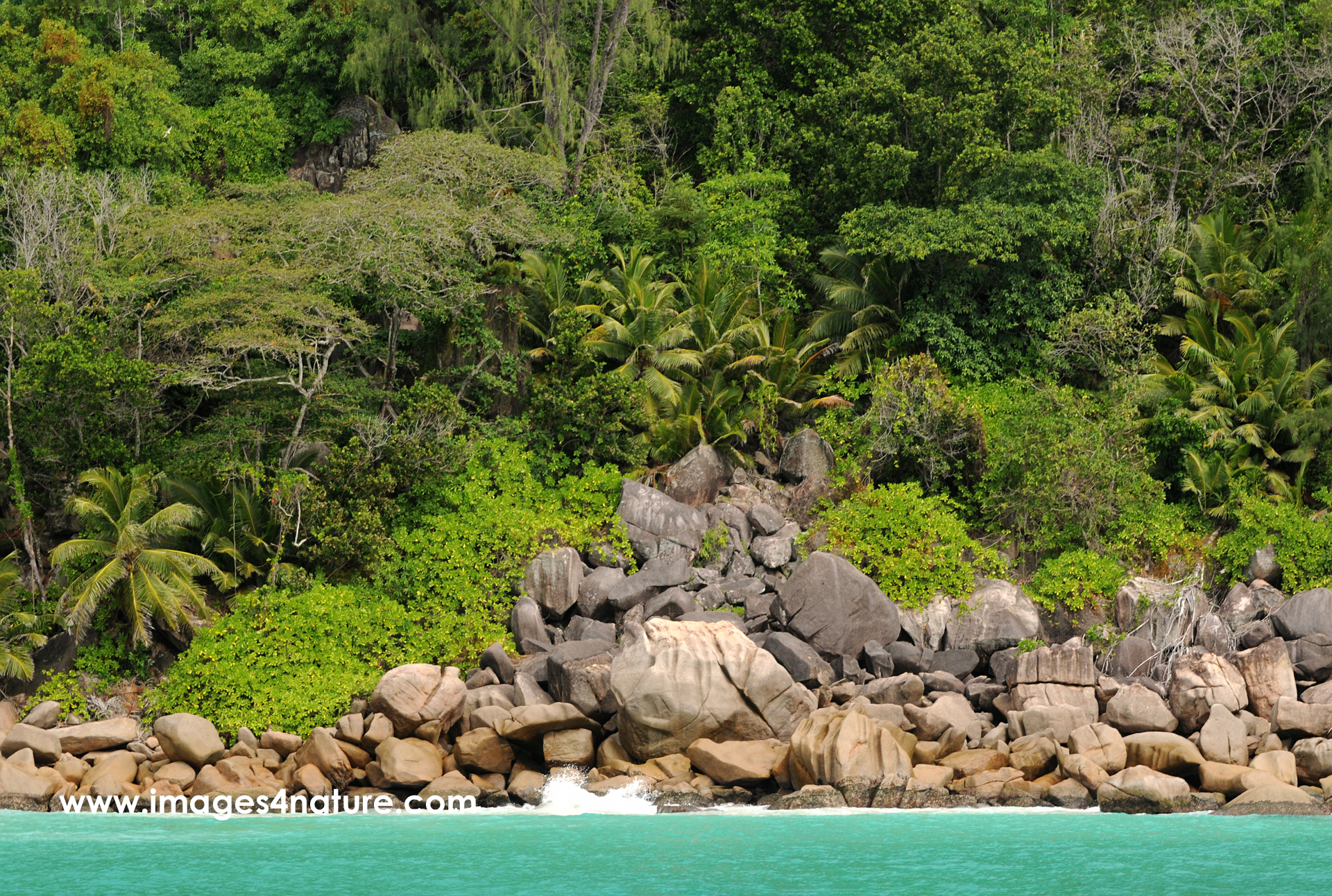 Turquoise Seychelles water against granite beach with rainforest