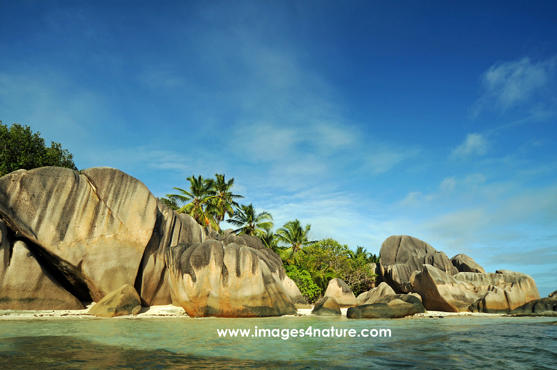 La Digue granite rock beach with palmtrees