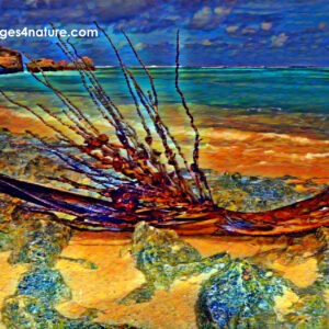 A colorful digital painting of coconut branch on the beach