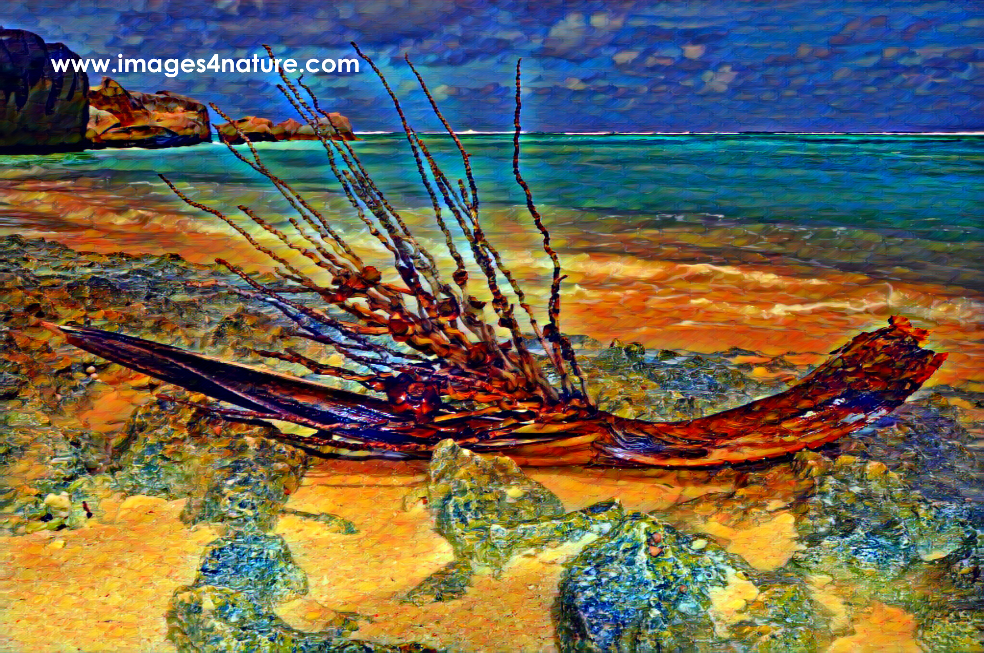 A colorful digital painting of coconut branch on the beach