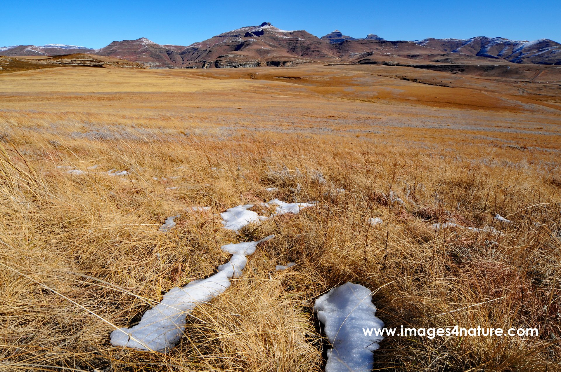 Footstep shaped patches of snow leading into vast grasslands