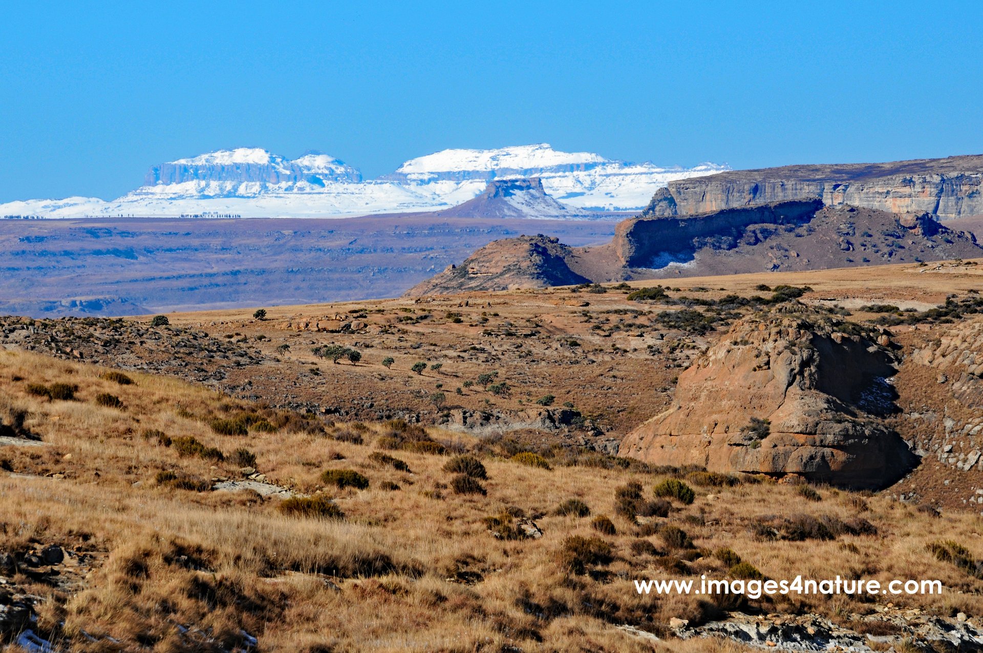 Scenic view of Golden Gate highlands in winter with snow peaks