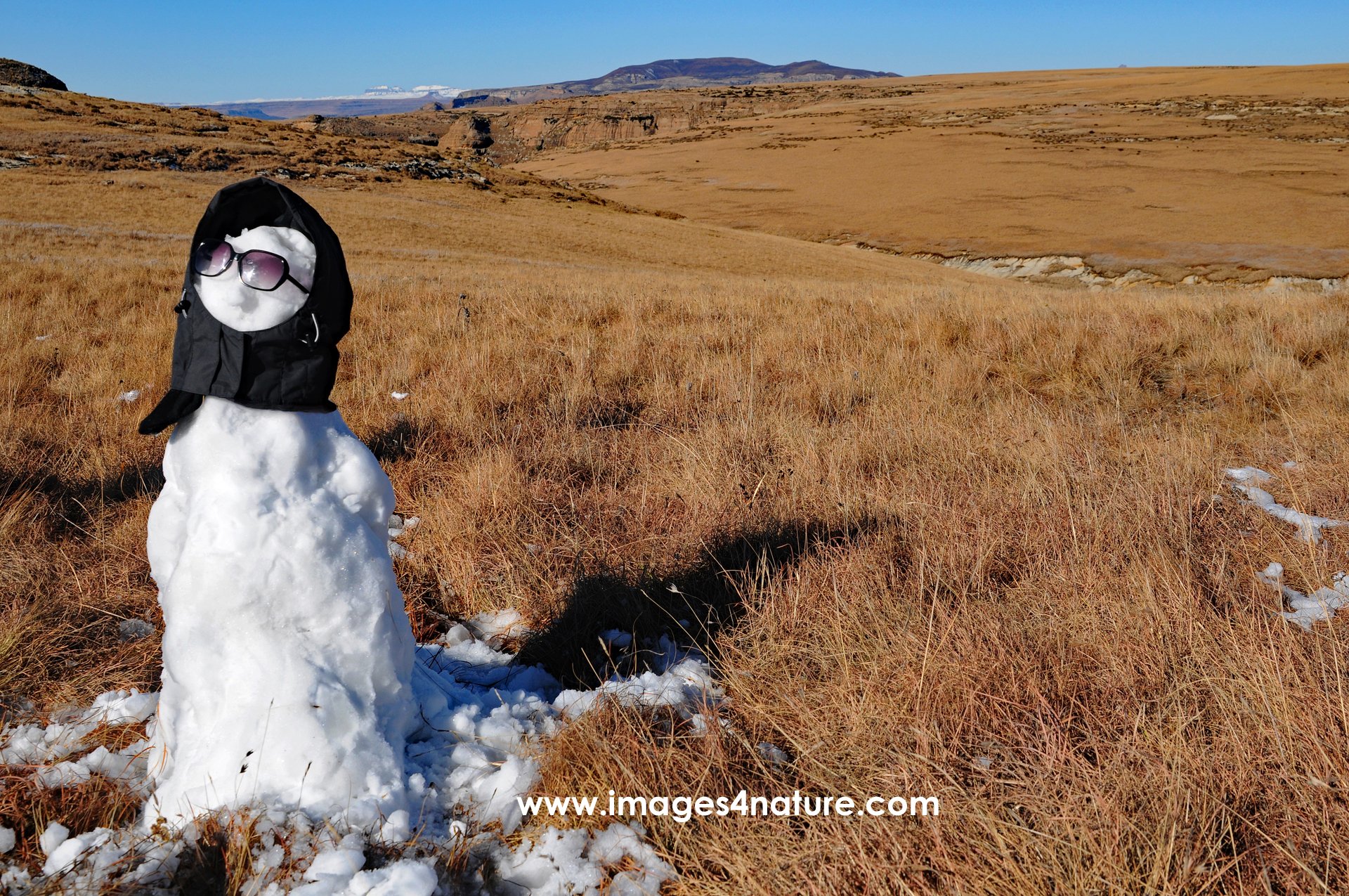 Snowman with cap and sunglasses melting on brown grasslands
