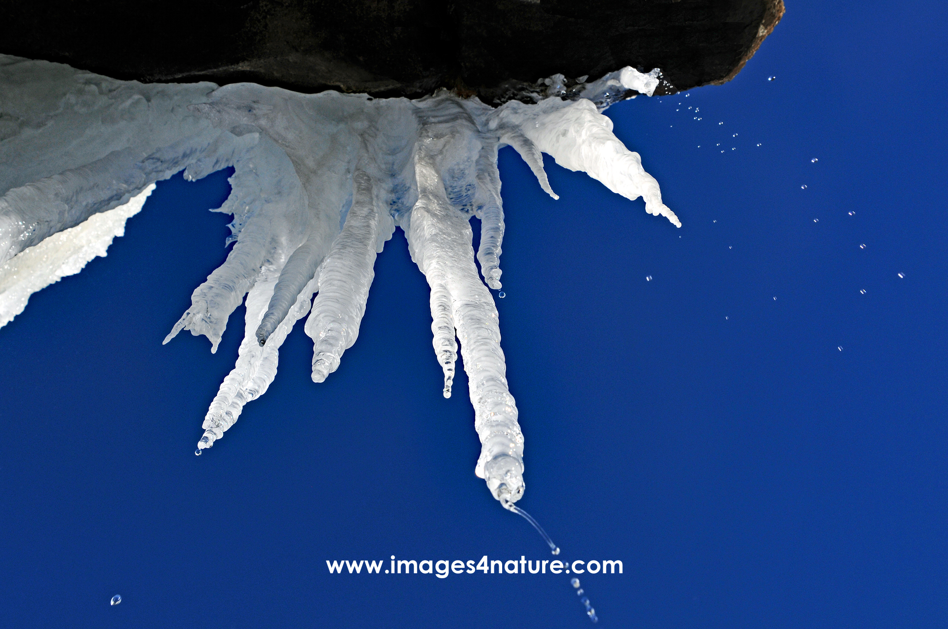 Low angle view of melting icicles against dark blue Lesotho winter sky