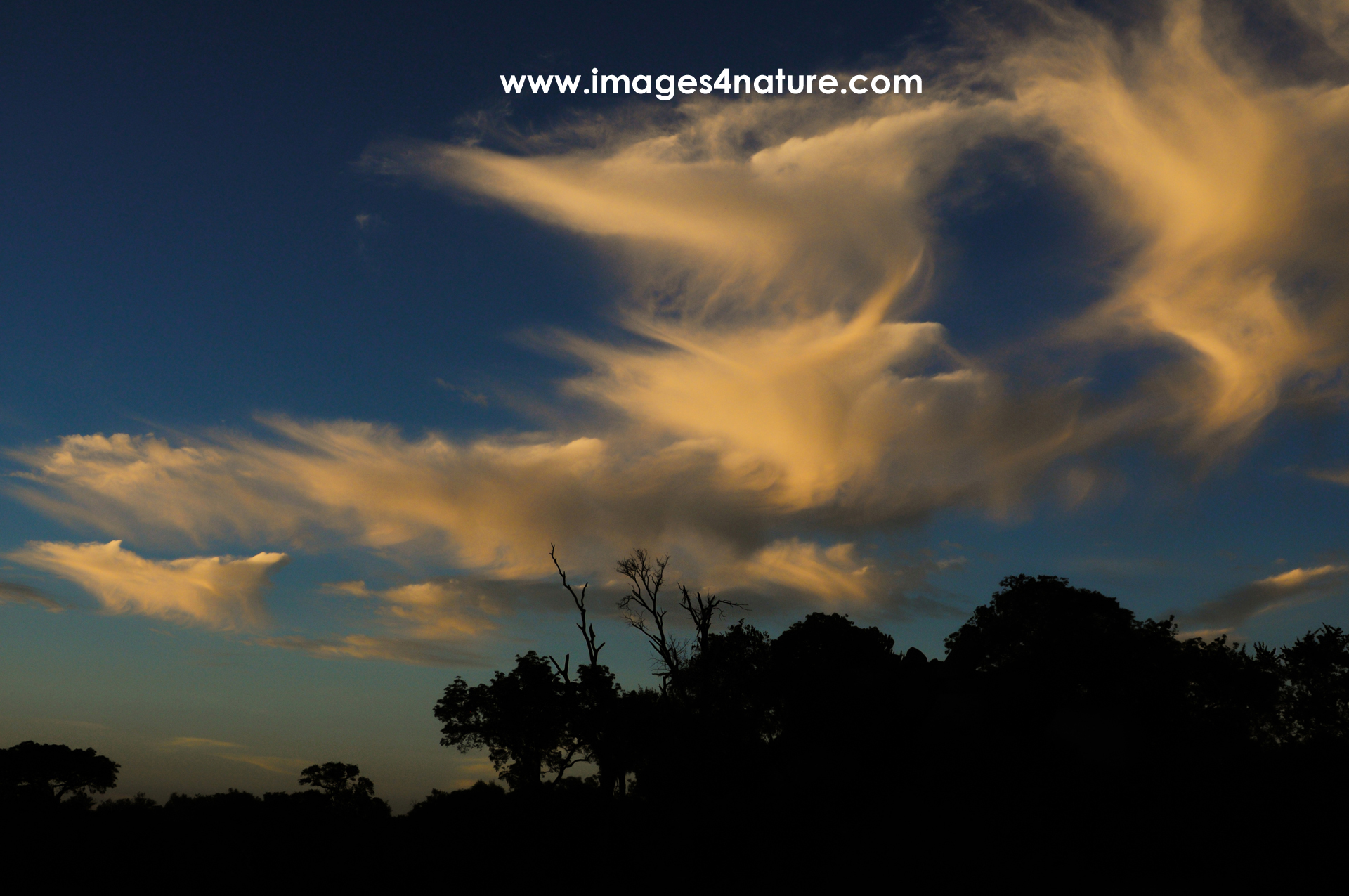 Spectacular yellow clouds at sunset over African bushveld