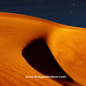 Orange rippled Namibia sanddune against starry night sky
