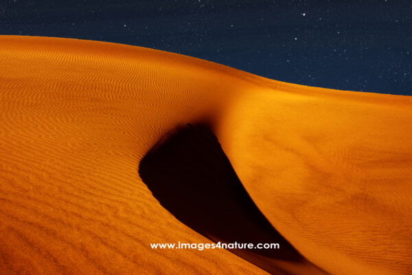 Orange rippled Namibia sanddune against starry night sky
