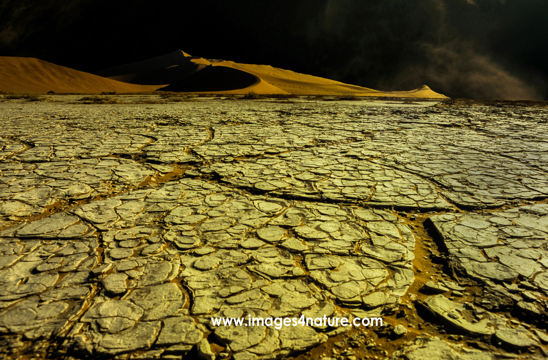 Dry soil pattern with Sossusvlei sand dunes against night sky