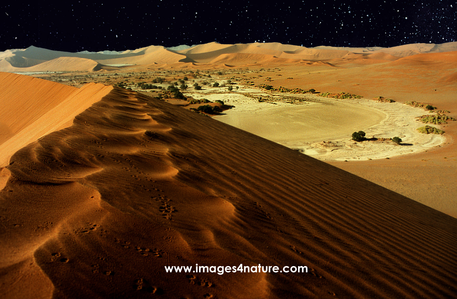 Scenic view of the Sossusvlei sand dunes against starry night sky