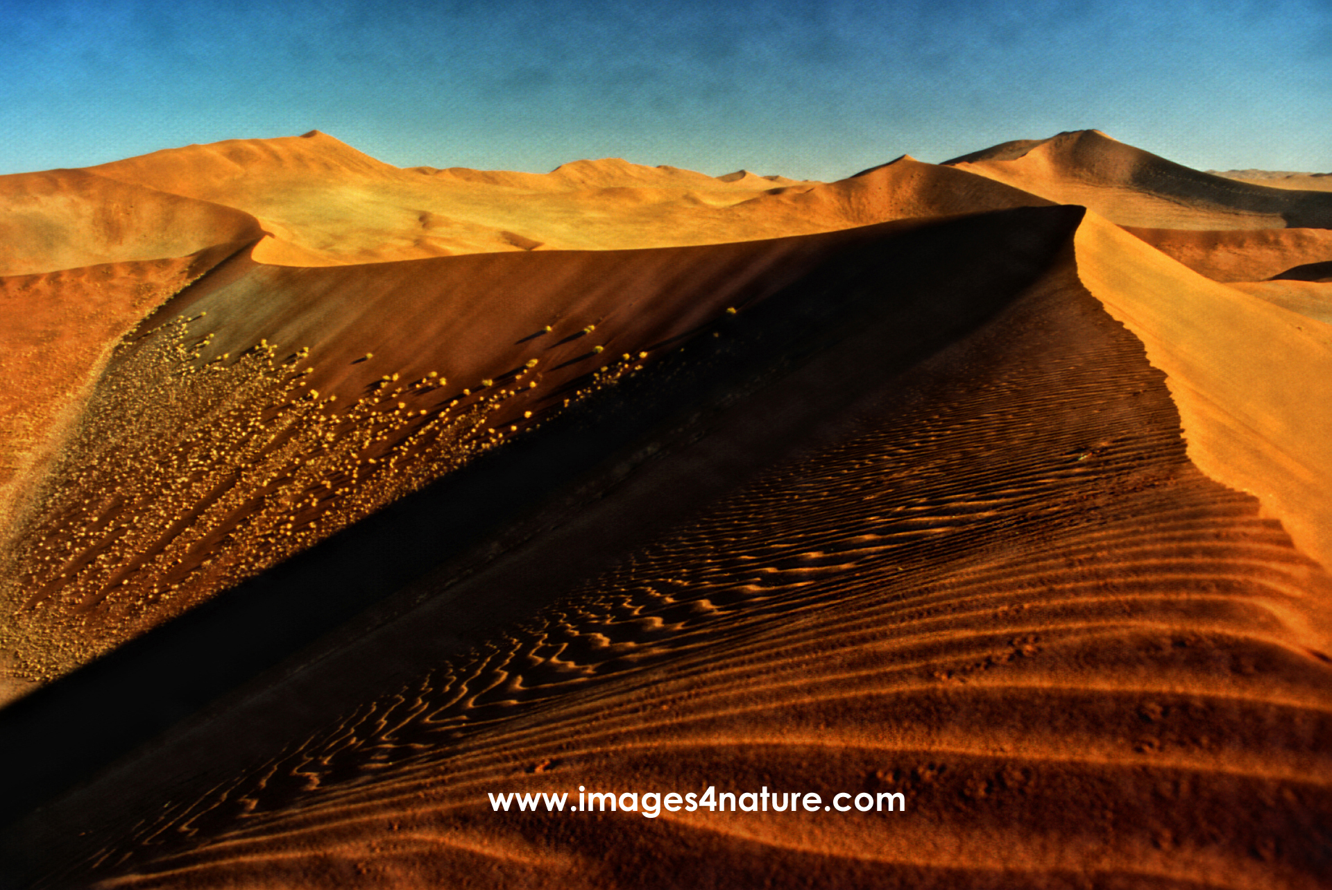Untouched huge red Sossusvlei sand dunes against sky