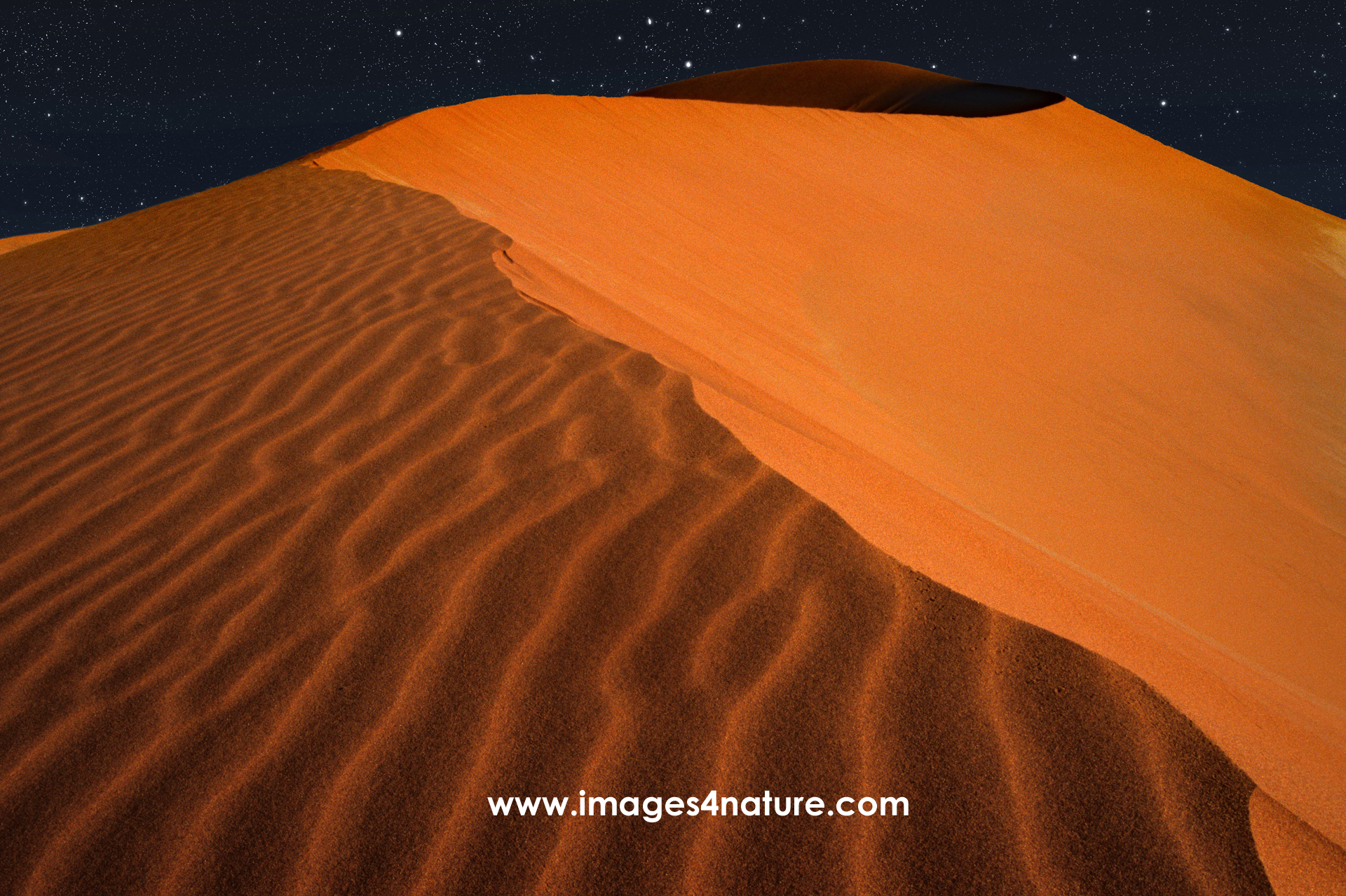 Orange Namibia sand dune with ripples against starry night sky
