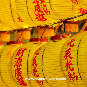 Two rows of yellow chinese lanterns with red writing