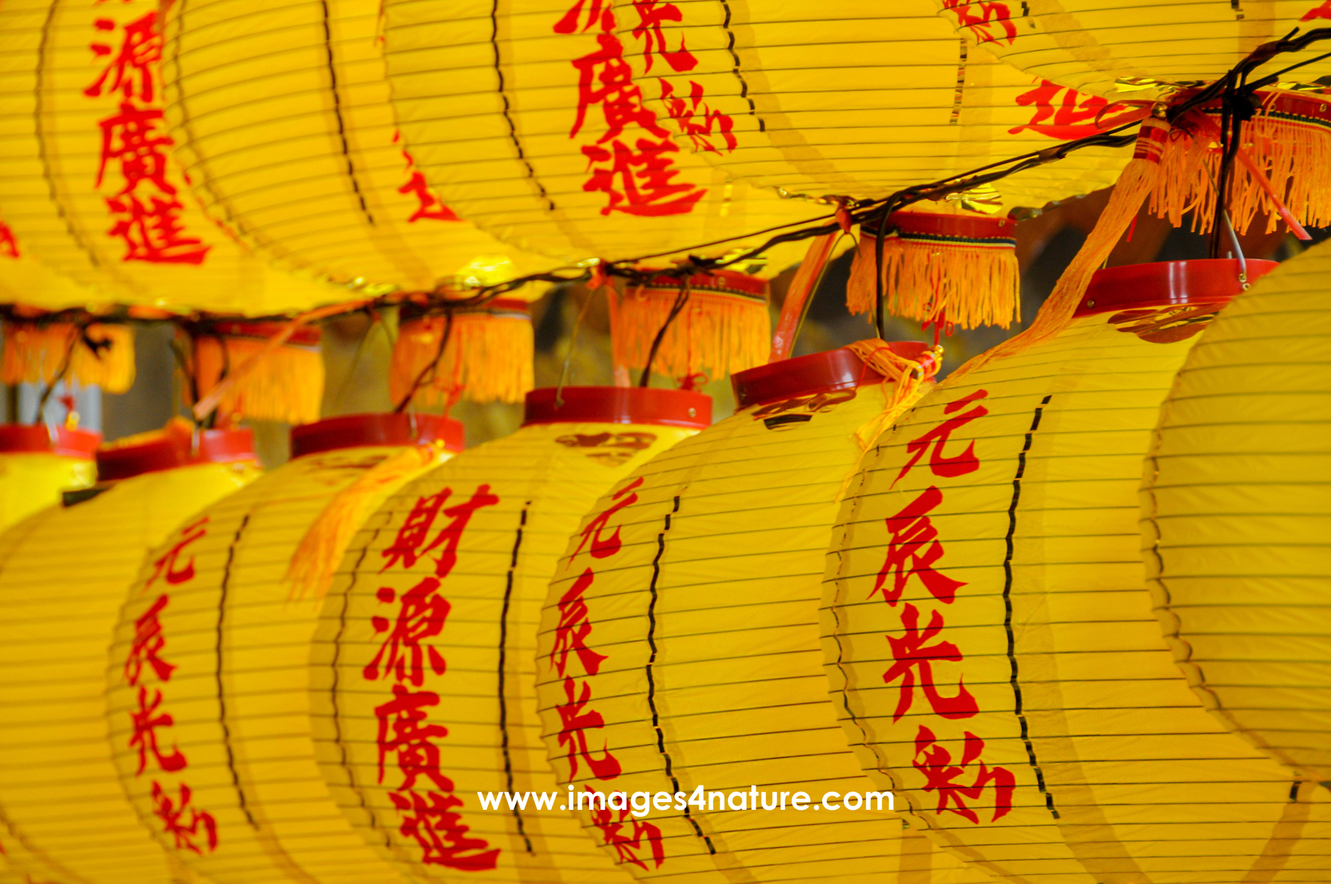 Two rows of yellow chinese lanterns with red writing