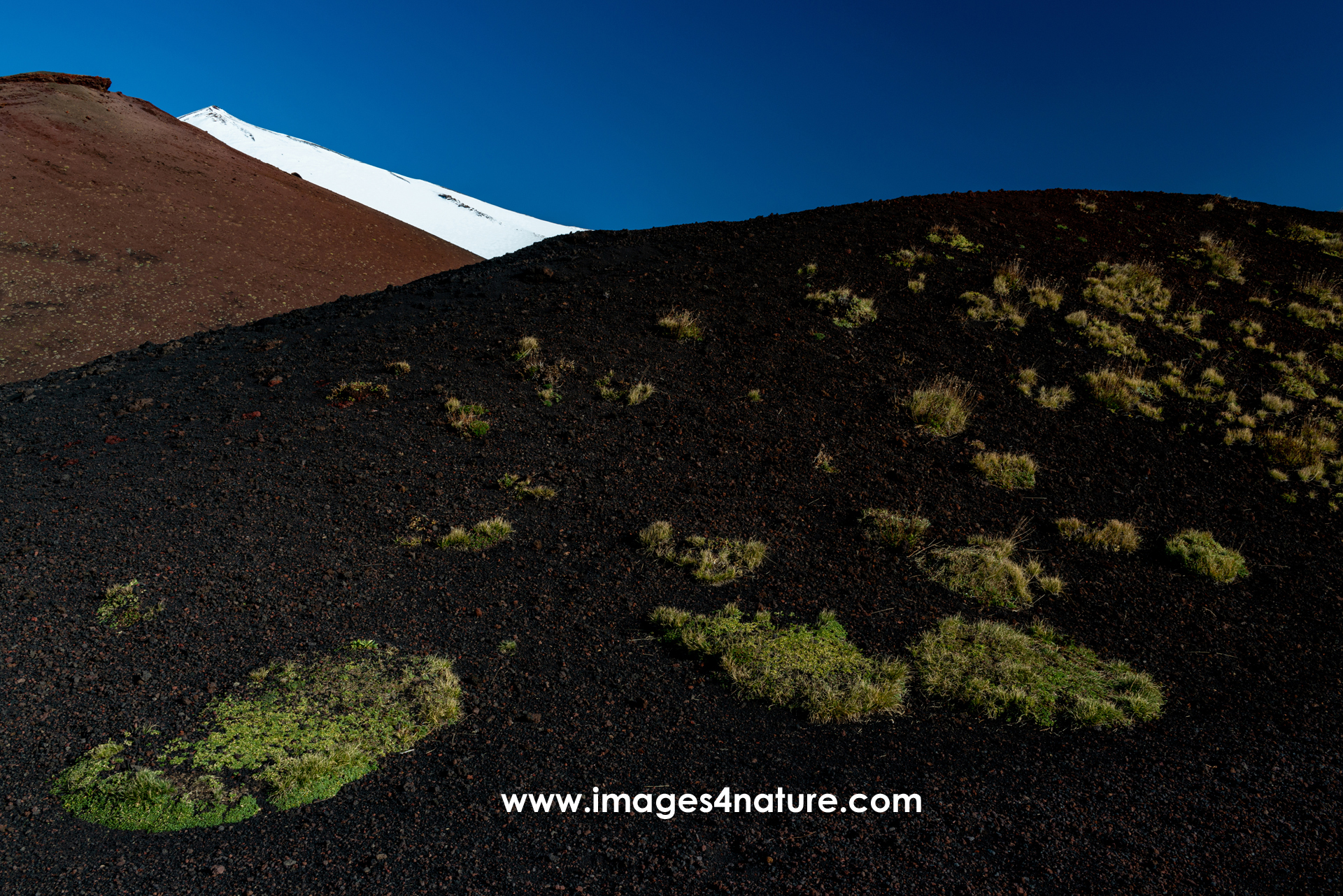 Black and red lava fields with green grass and snow covered peak