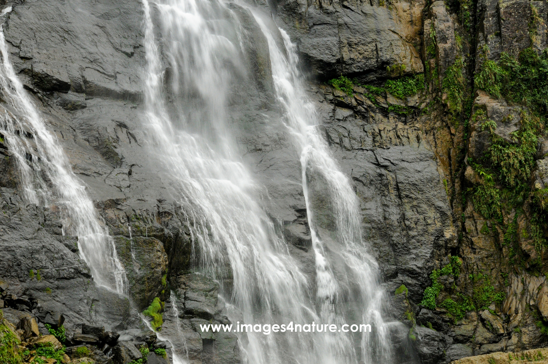 Flowing waterfall on a dark grey rock face
