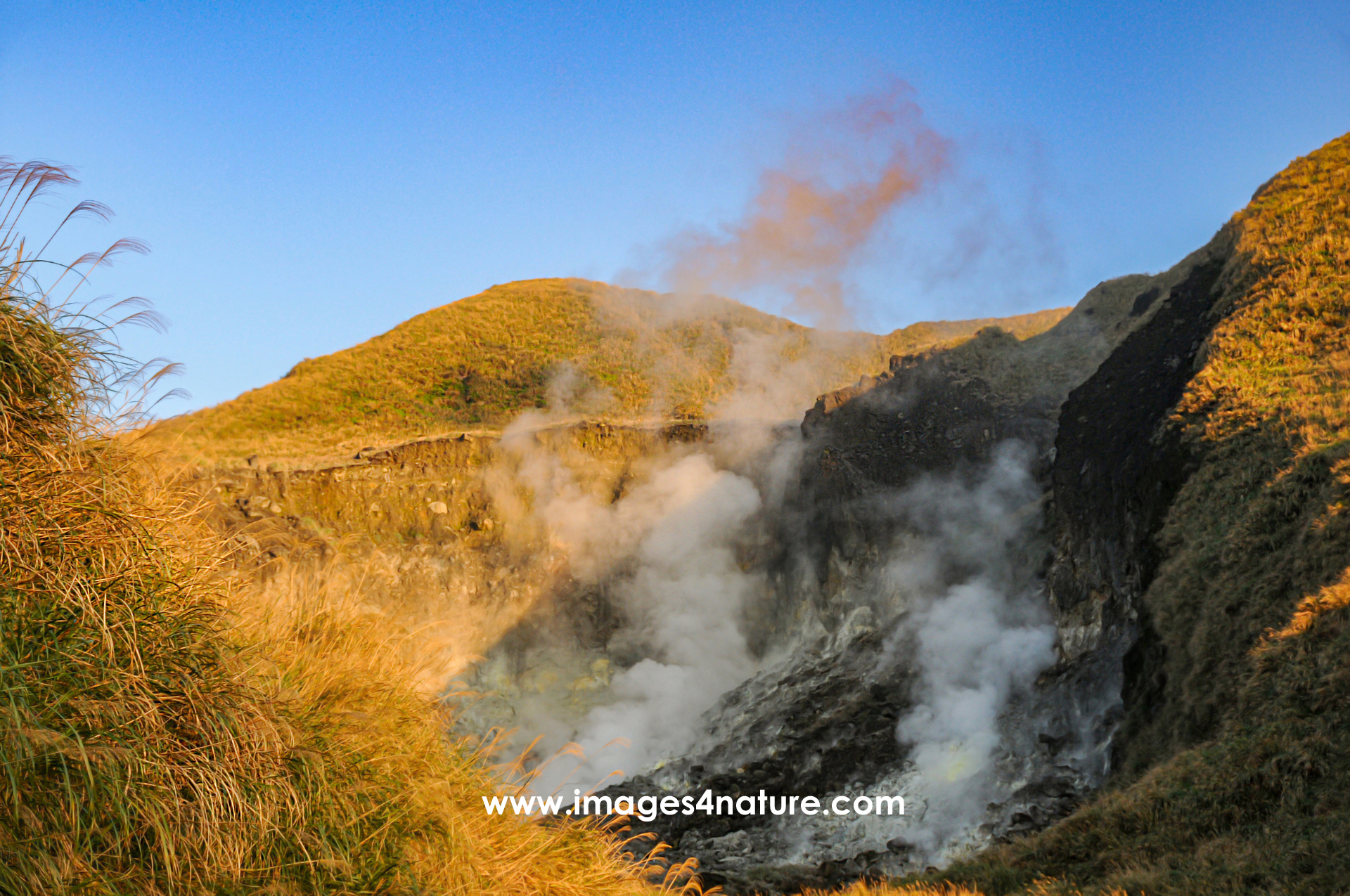 Smoke from fumeroles of Yangmingshan crater in evening sun