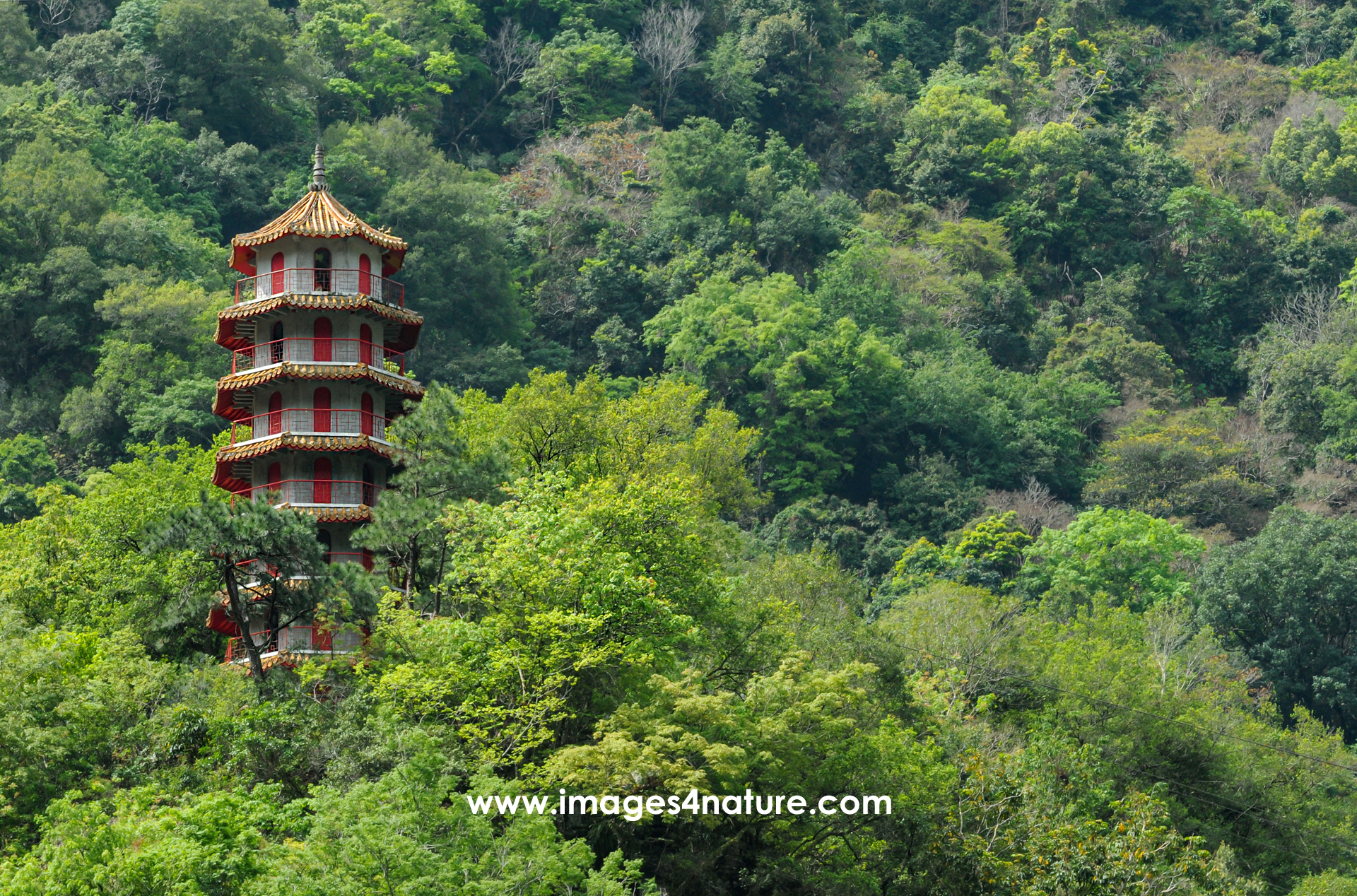 White-red Tianfeng Pagoda in dense green mountain forest
