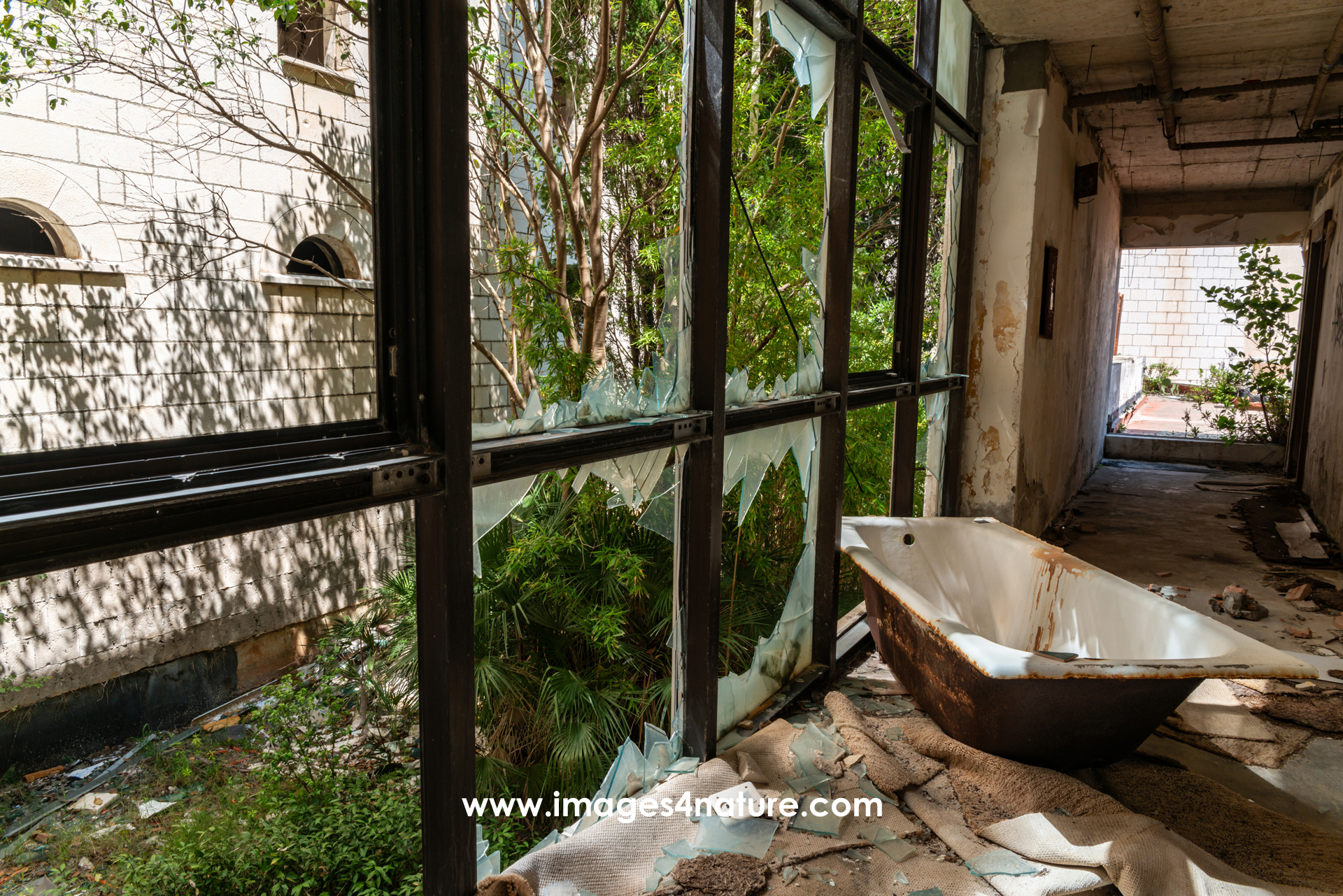 Rusty dismantled bathtub standing in corridor of destroyed hotel