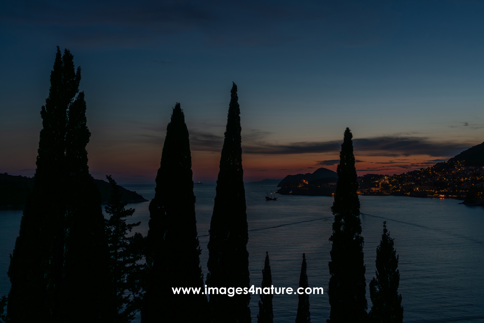 Dubrovnik evening panorama with cypress trees