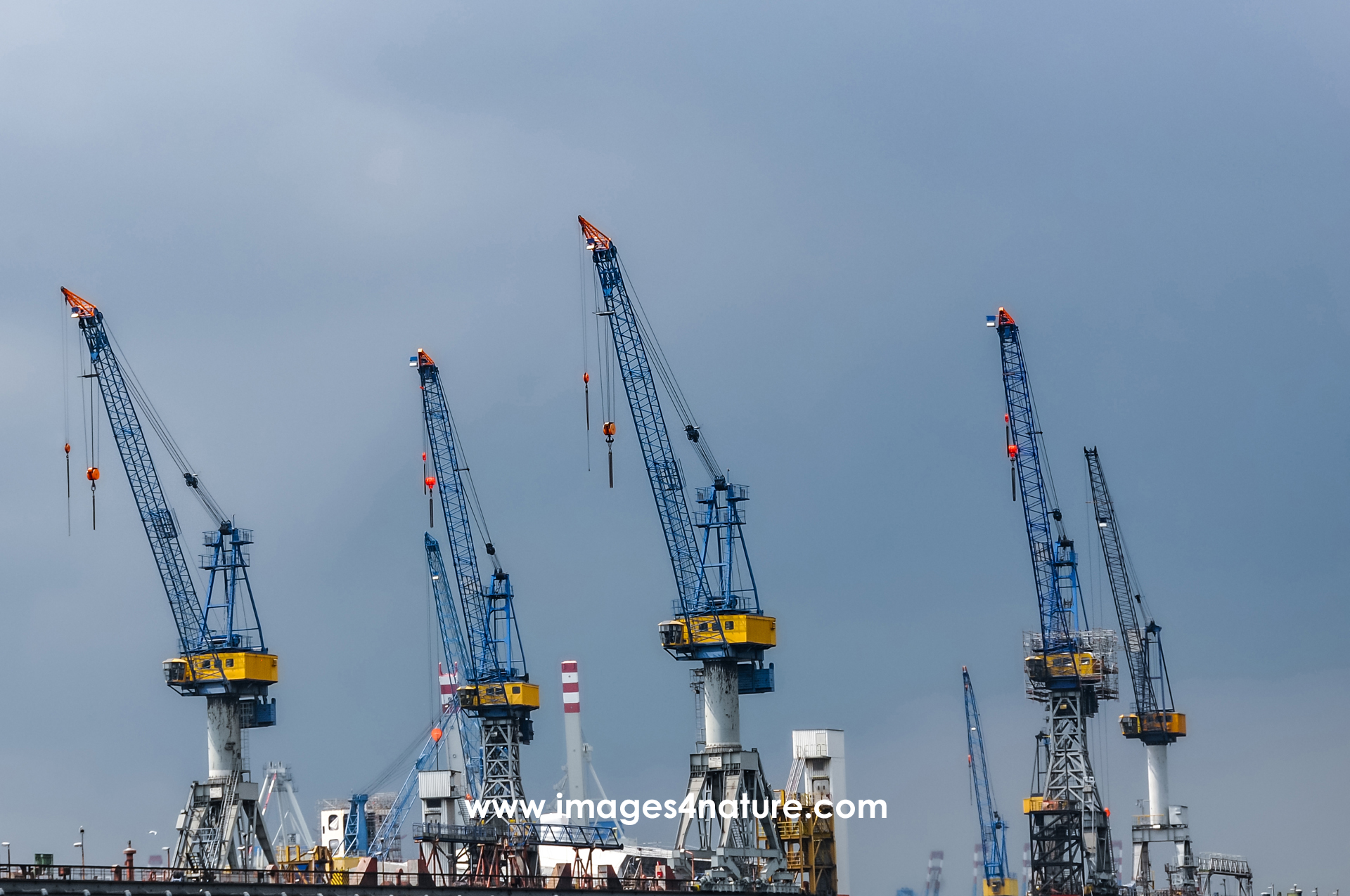 Many blue and yellow cranes in Hamburg harbour against sky