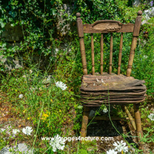 Single weathered wooden chair standing in summer garden