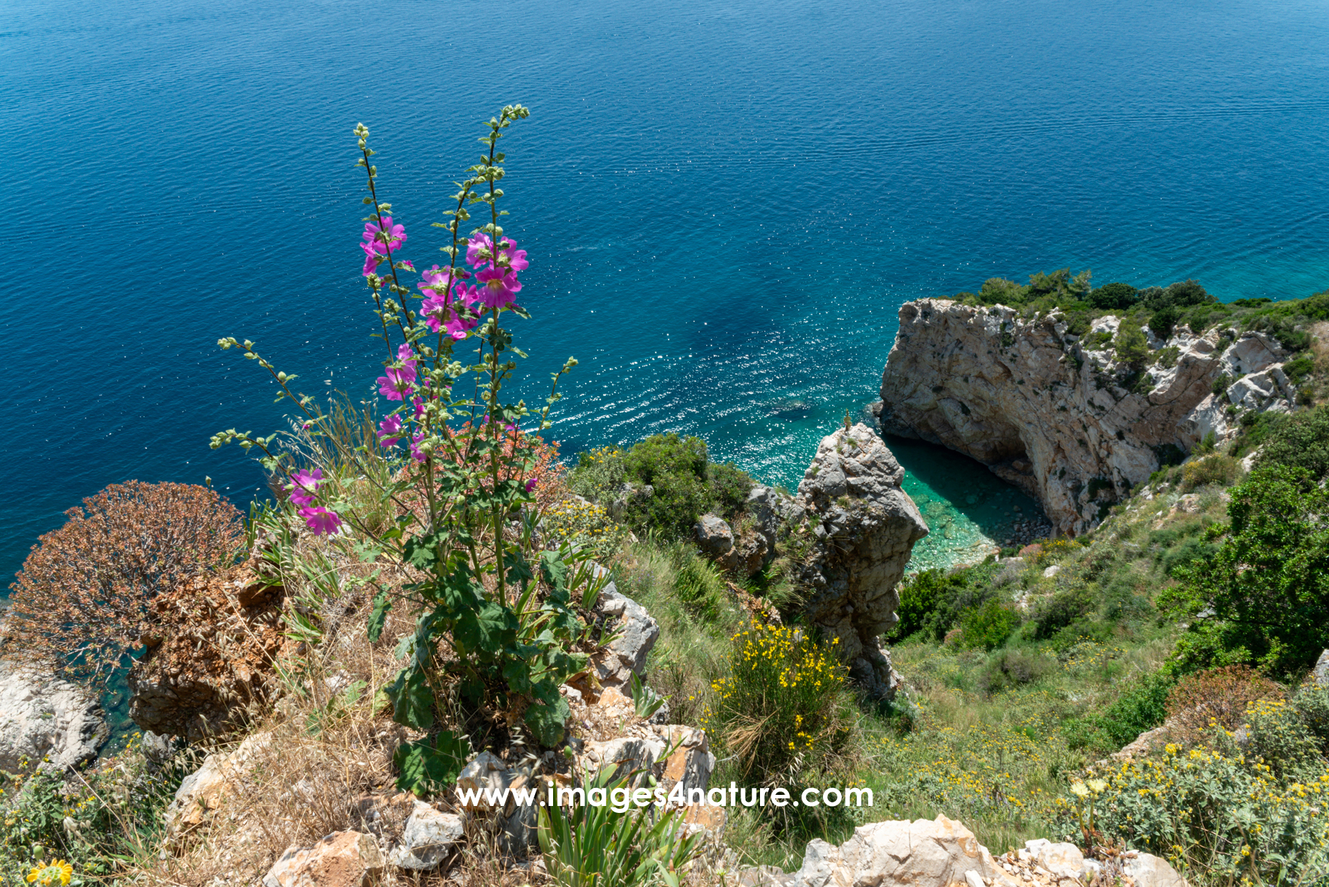 View down the cliffs onto beautiful Croatian mediterrenean beaches