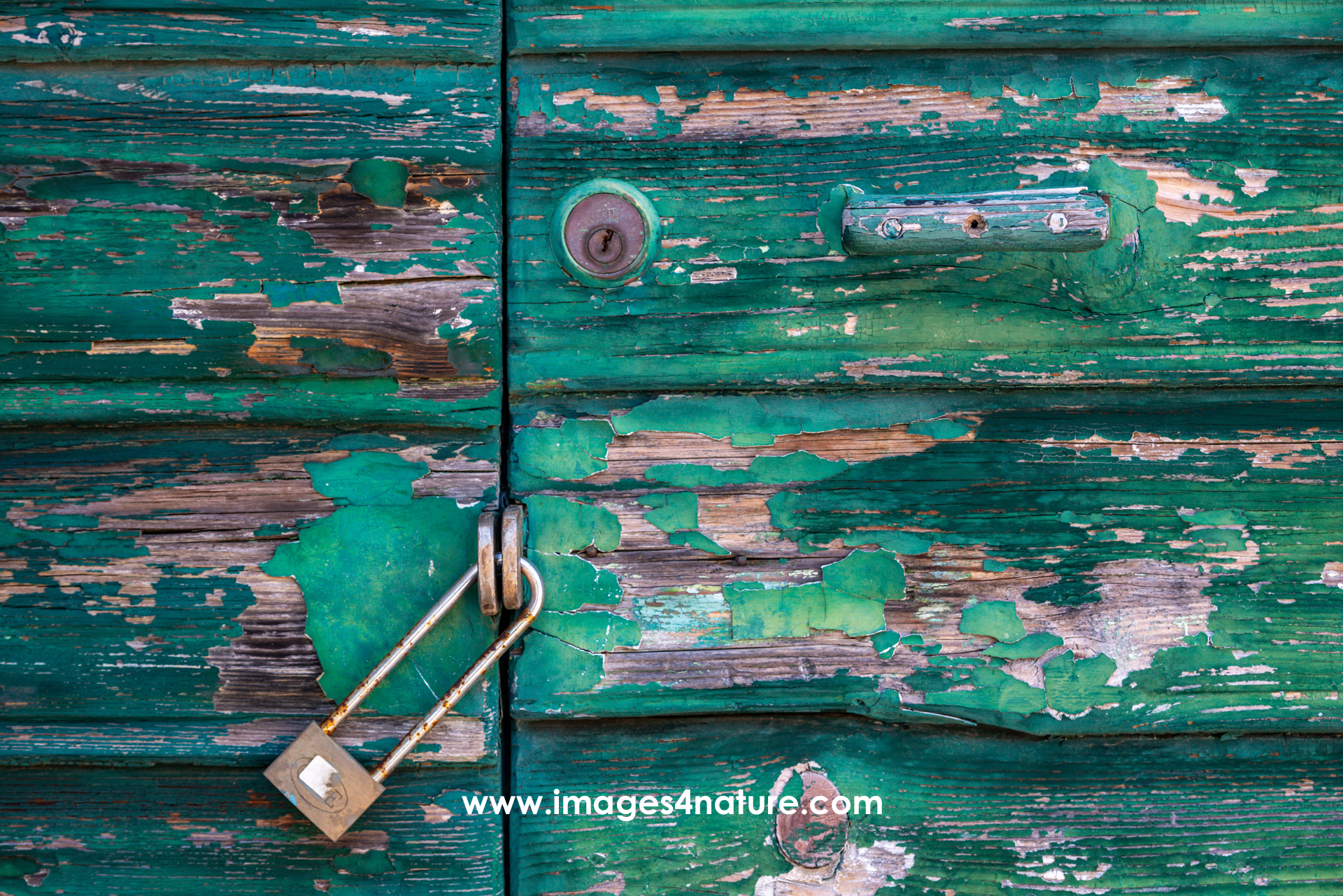 Weathered green paint on a wooden door secured with padlock