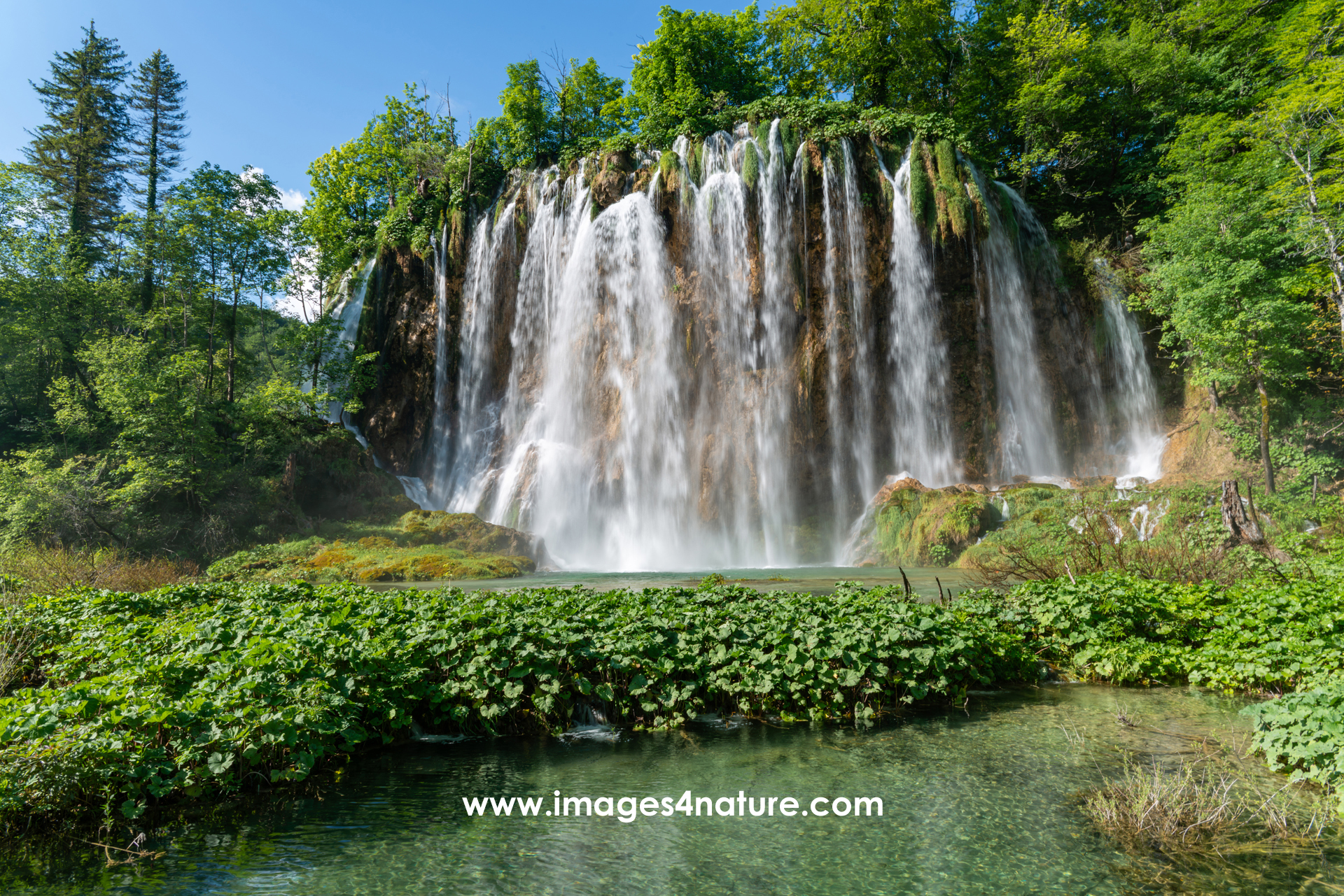 One of the impressive forest waterfalls at Plitvice upper lakes