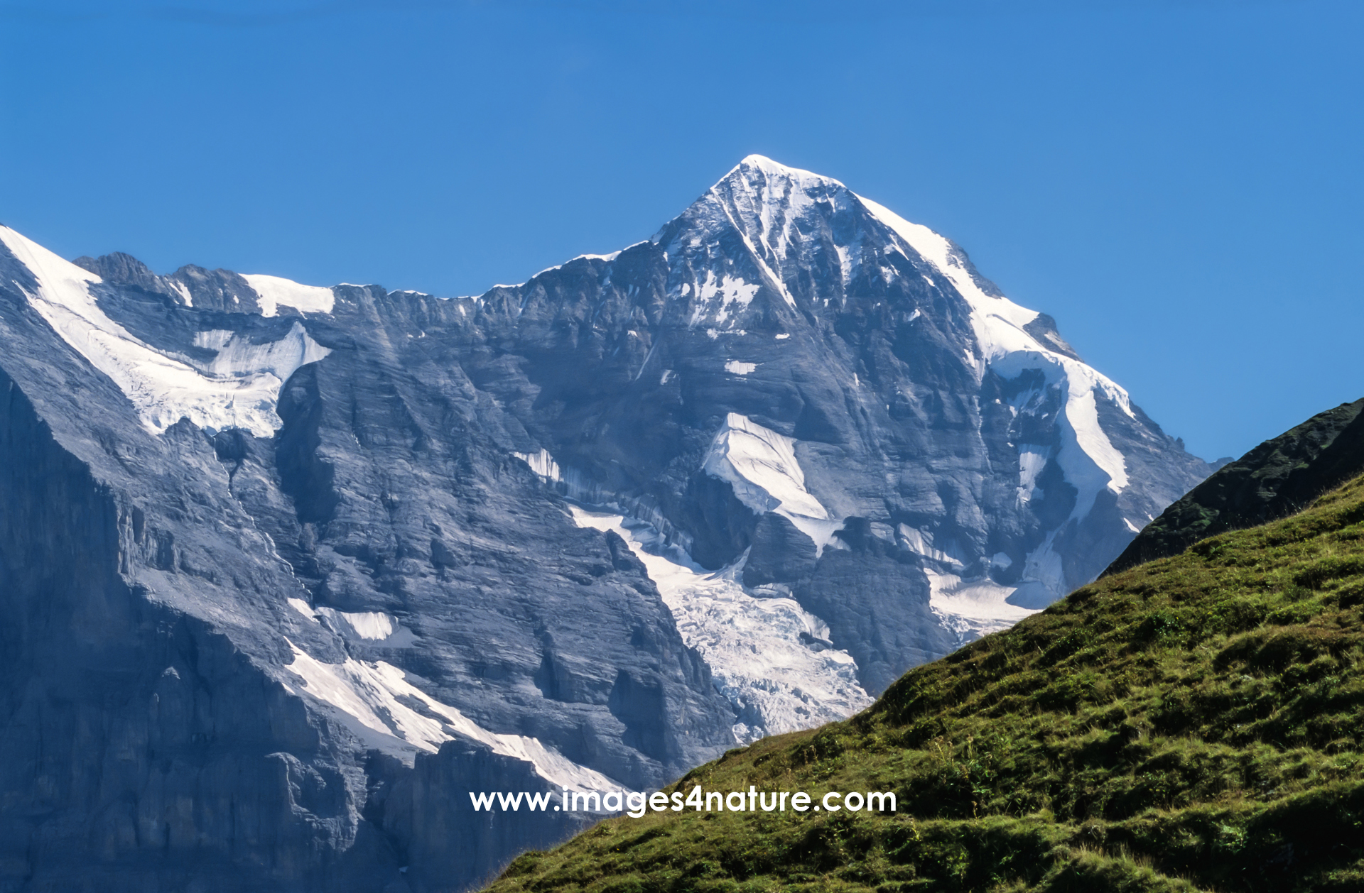 Snow covered alpine peaks against green pasture edge