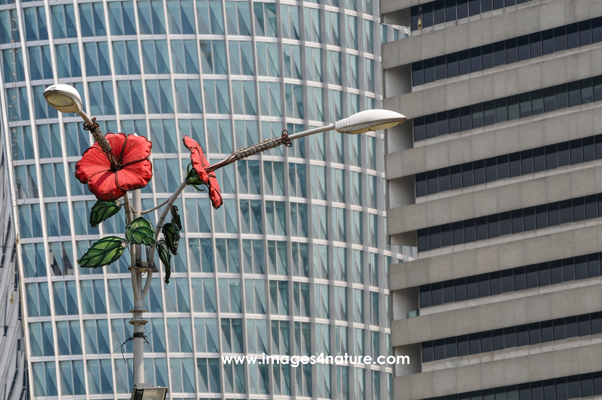 Red floral decoration on street lamp against modern buildings