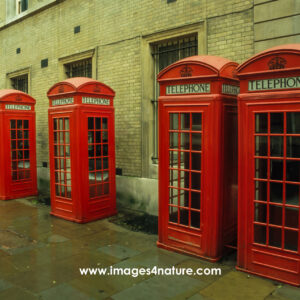 Diagonal group of five red English telephone booths