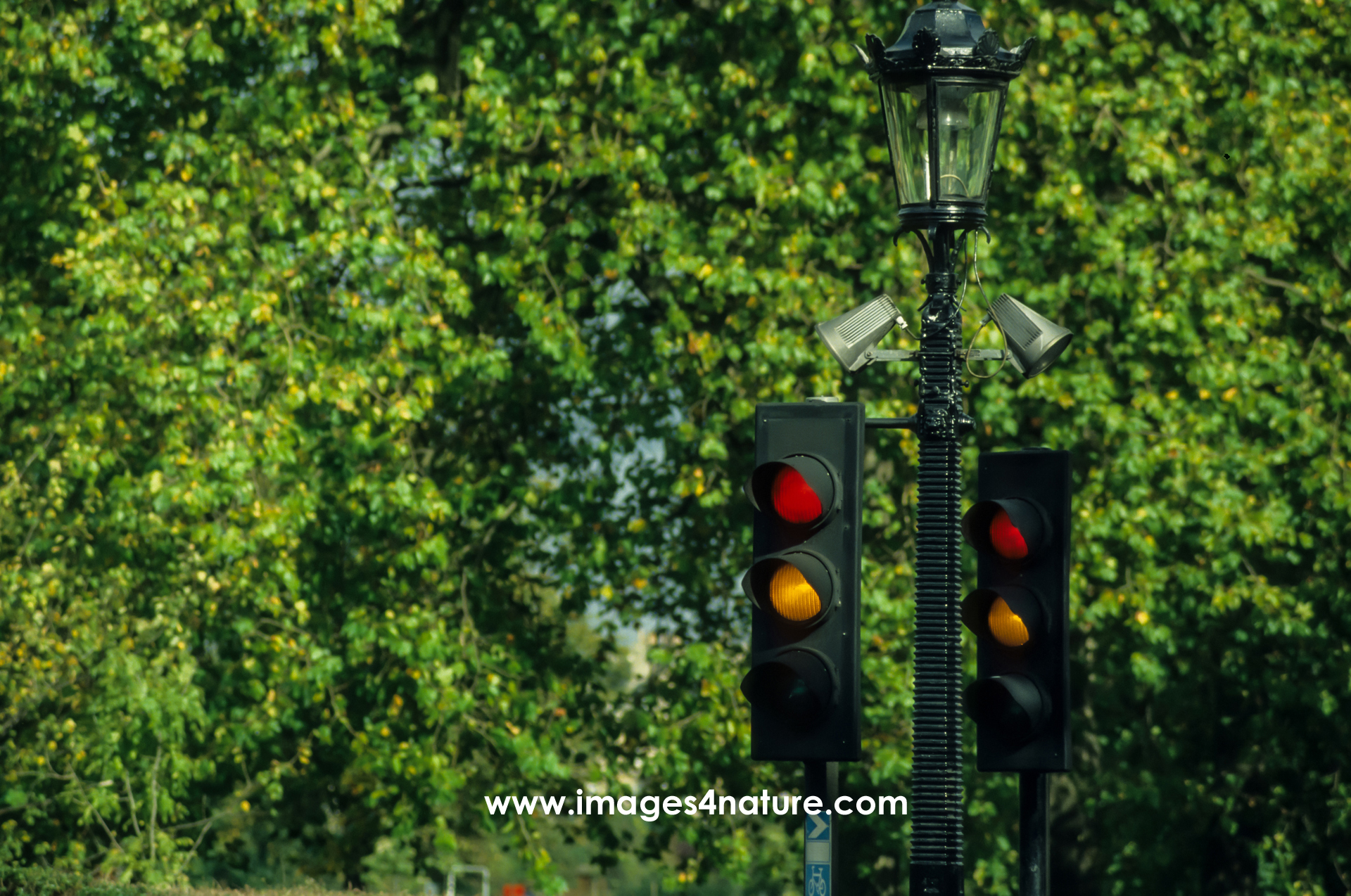 Two traffic lights on red yellow lights against green background