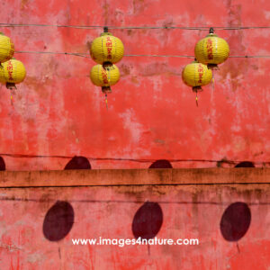 Two cables with eight yellow Chinese lanterns in front of red wall