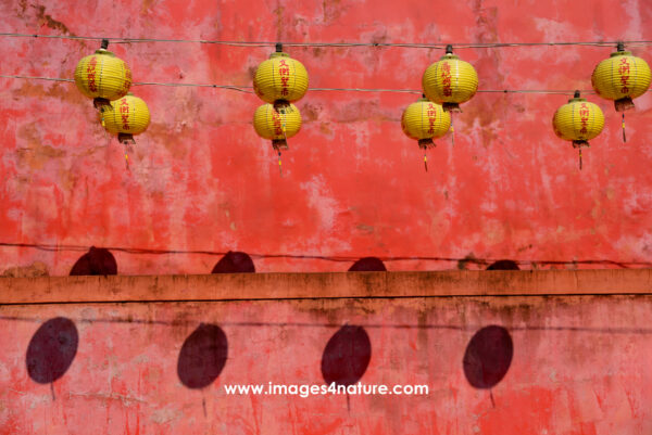Two cables with eight yellow Chinese lanterns in front of red wall