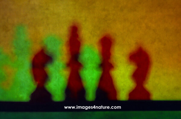 Black silhouette of chess pieces illuminated by colored light