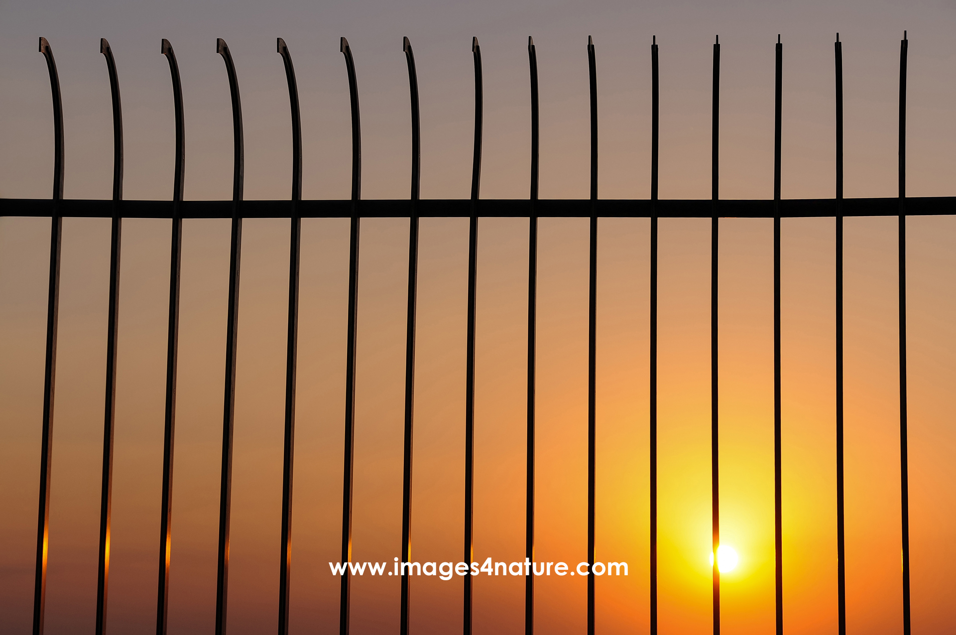 Frontal view of metal fence against evening sky