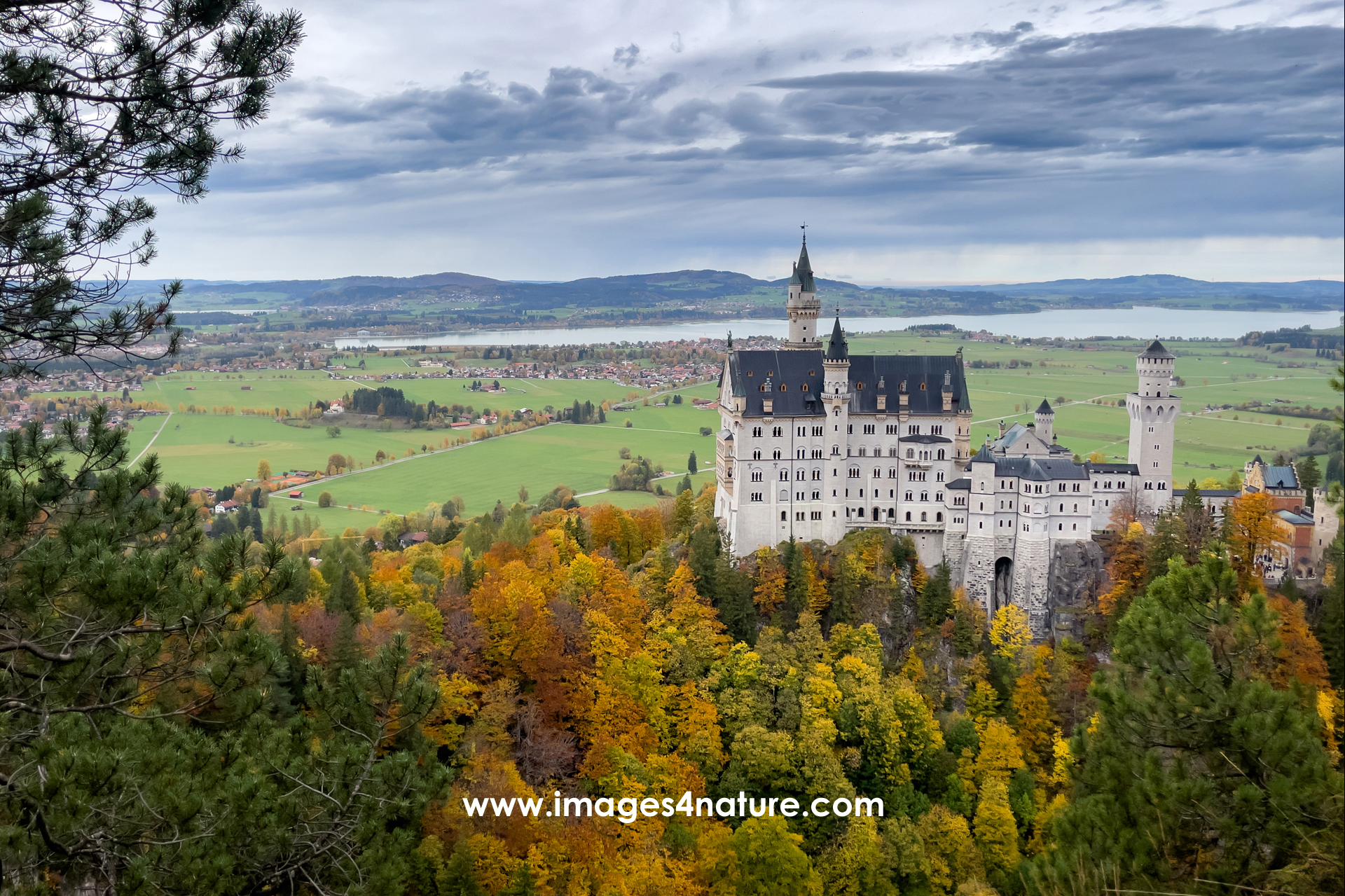 Scenic view of Neuschwanstein Castle and Forggensee in fall