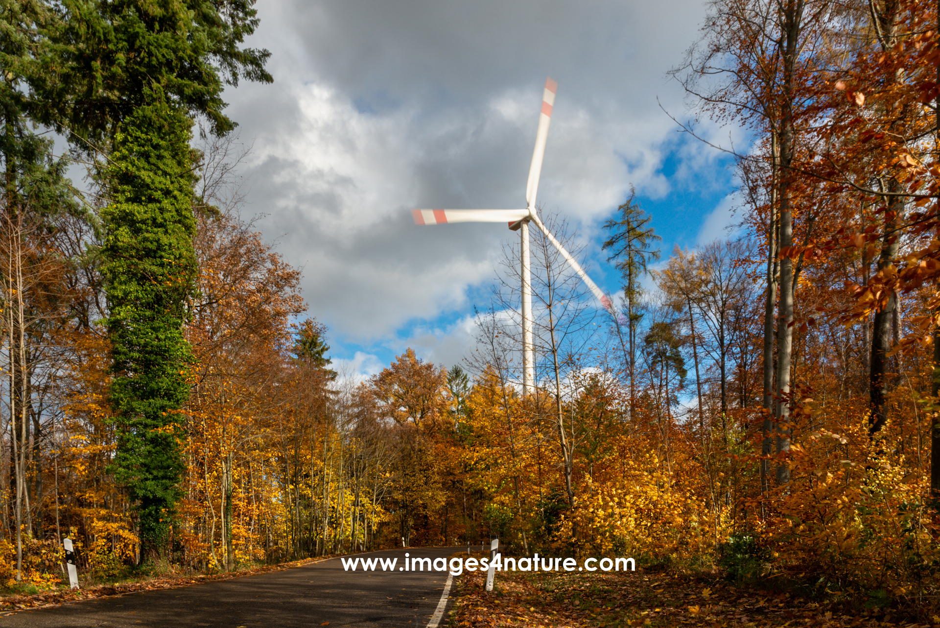 Street in colorful autumn forest leading to wind wheel