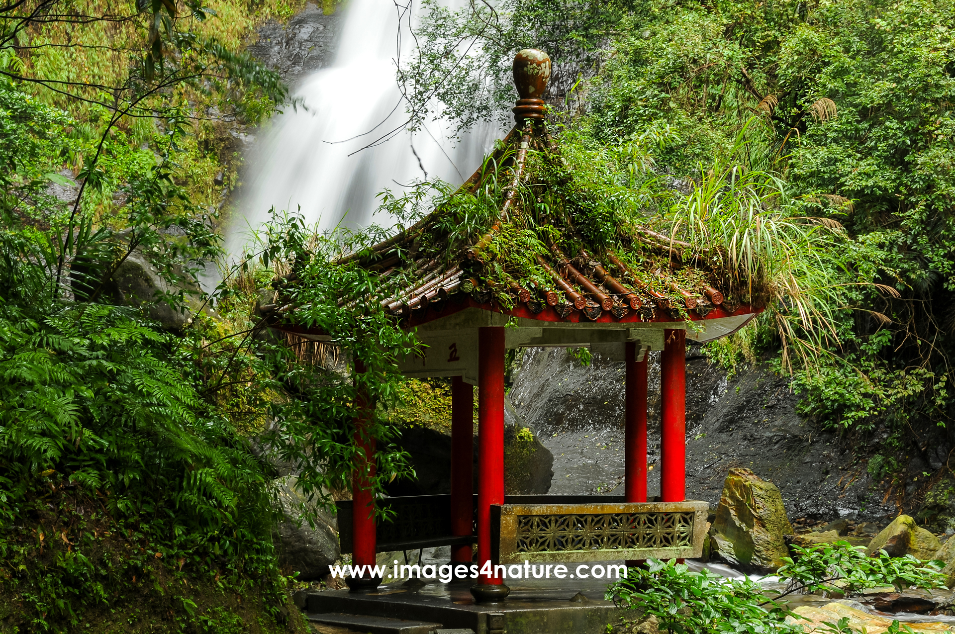 Forest with waterfall and Chinese pavilion