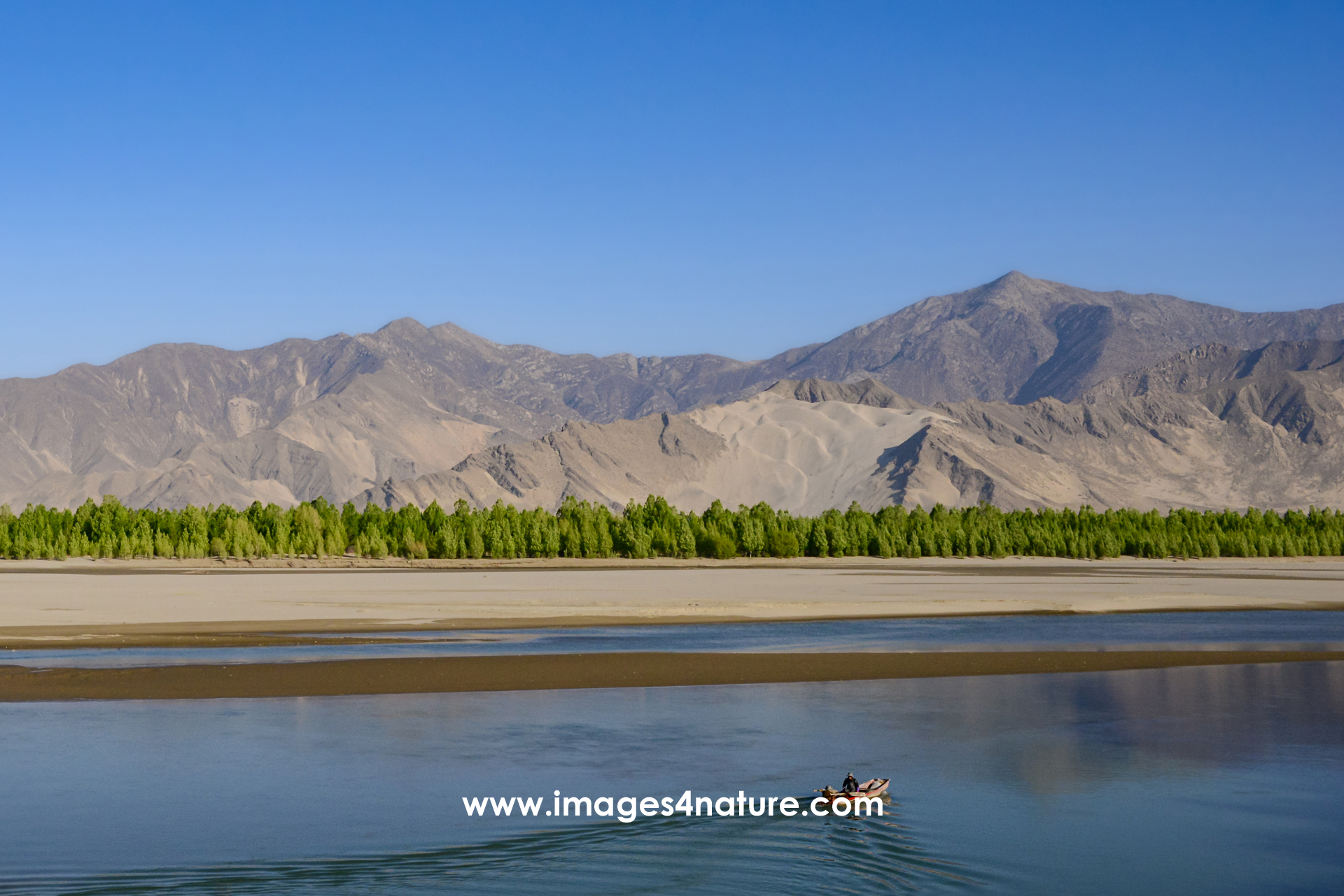 A small boat crossing the Yarlung Zangbo River with fresh green trees on the riverbank