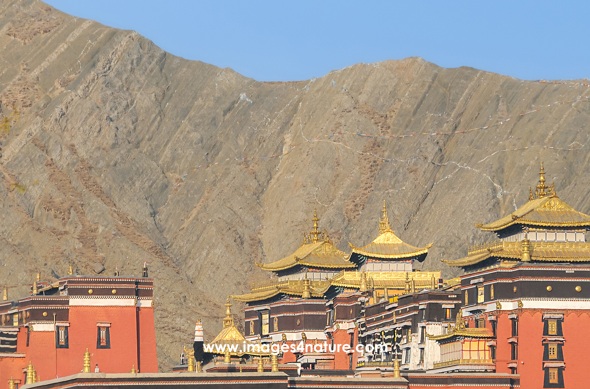 Red buildings with artfully decorated golden roof against mountain ridge