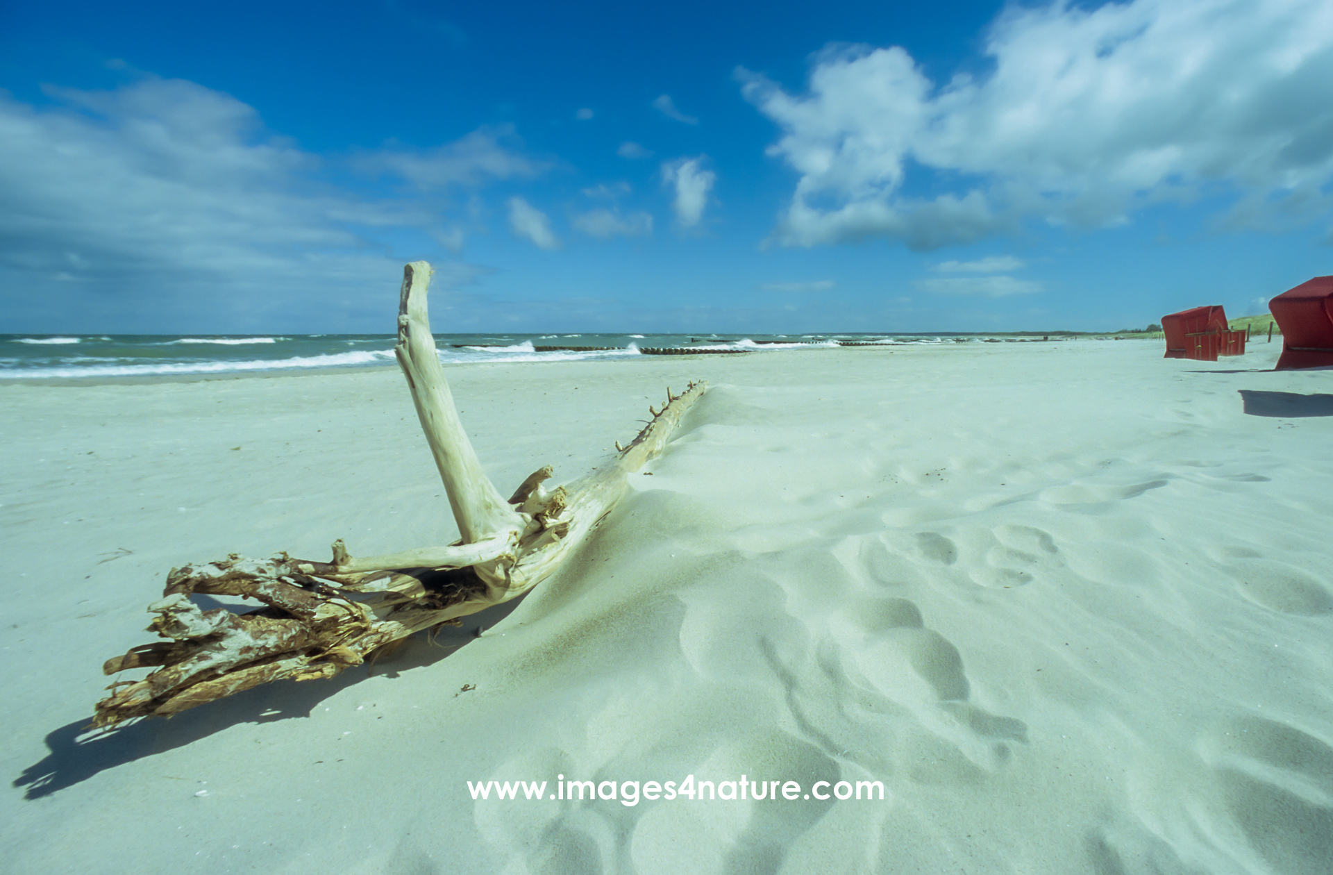 A piece of driftwood on a sandy beach with basket chairs in the background