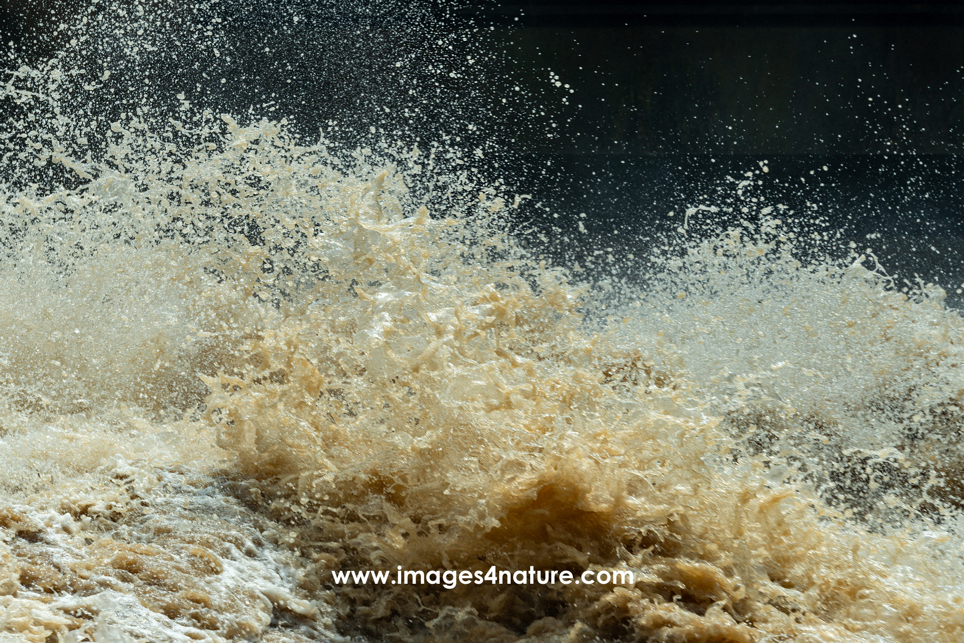 Close-up on the top of a wave of brown water with lots of droplets spraying in the air