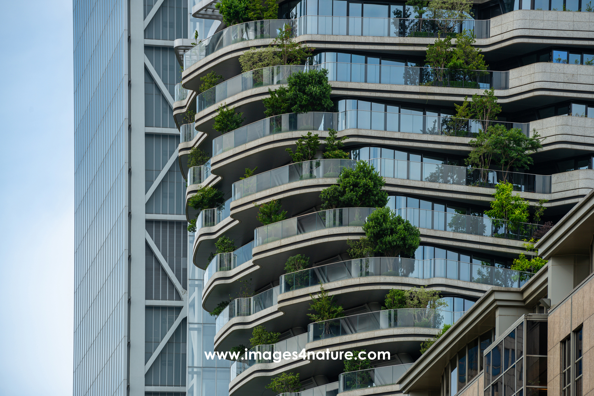 Close-up on curved balconies of a residential building with green plants, against another high rise construction with pure straight lines