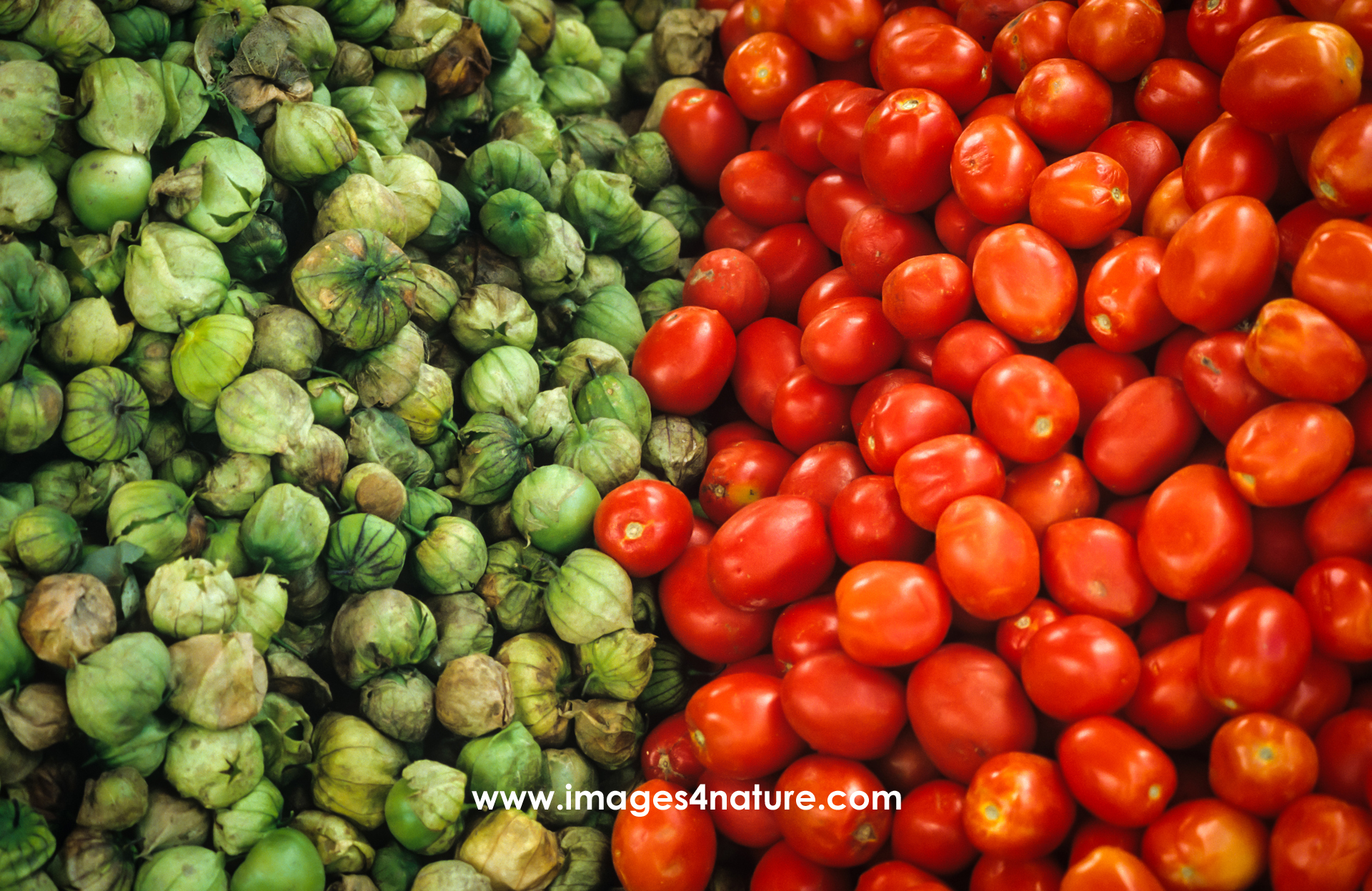 Close-up on market stall presentation of green and red tomatoes