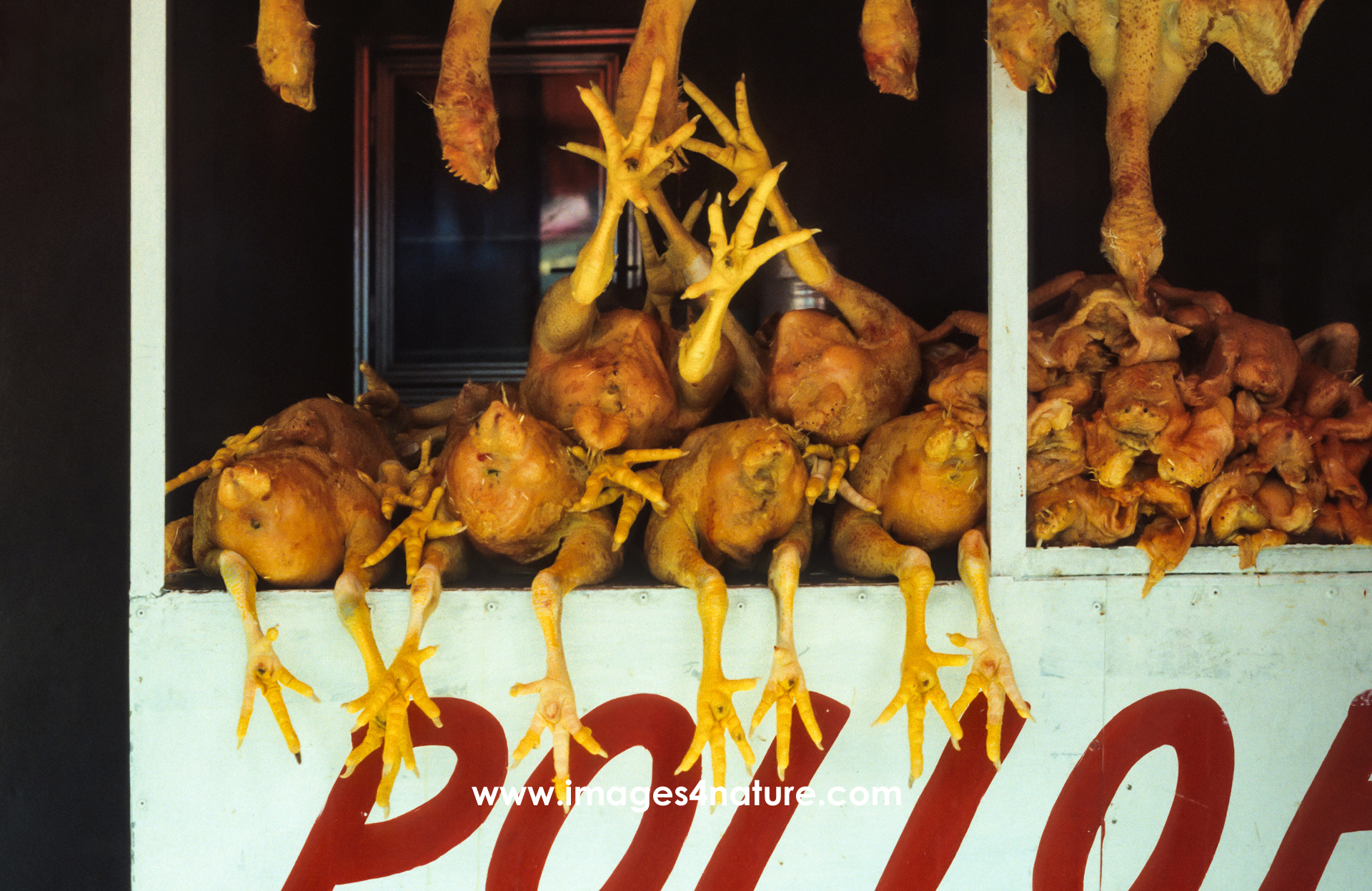 A market stall with many yellow colored chicken lying and hanging on the wooden counter