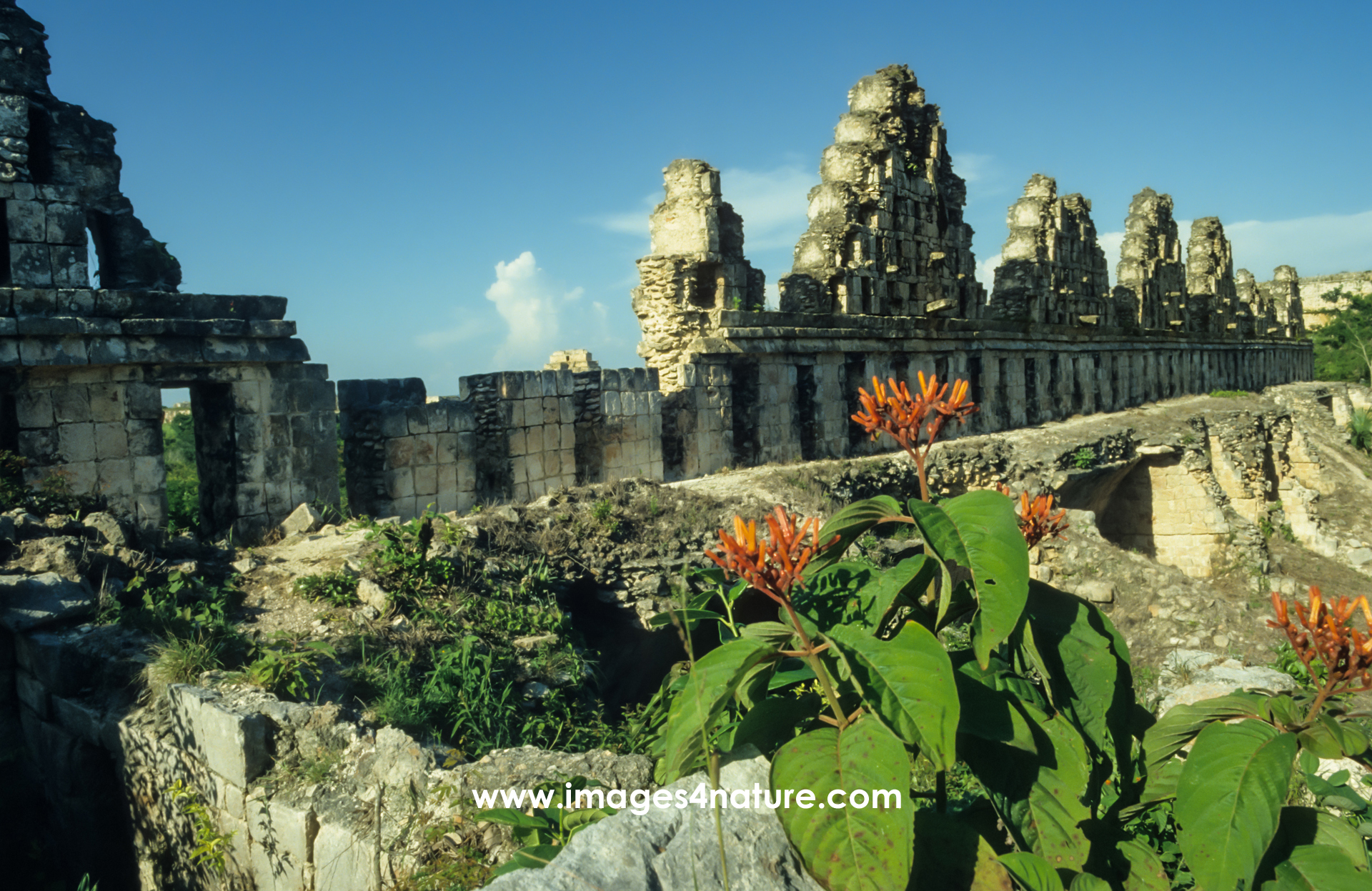 Scenic view of the Mayan ruins with the gables of the House of the Pigeons at Uxmal